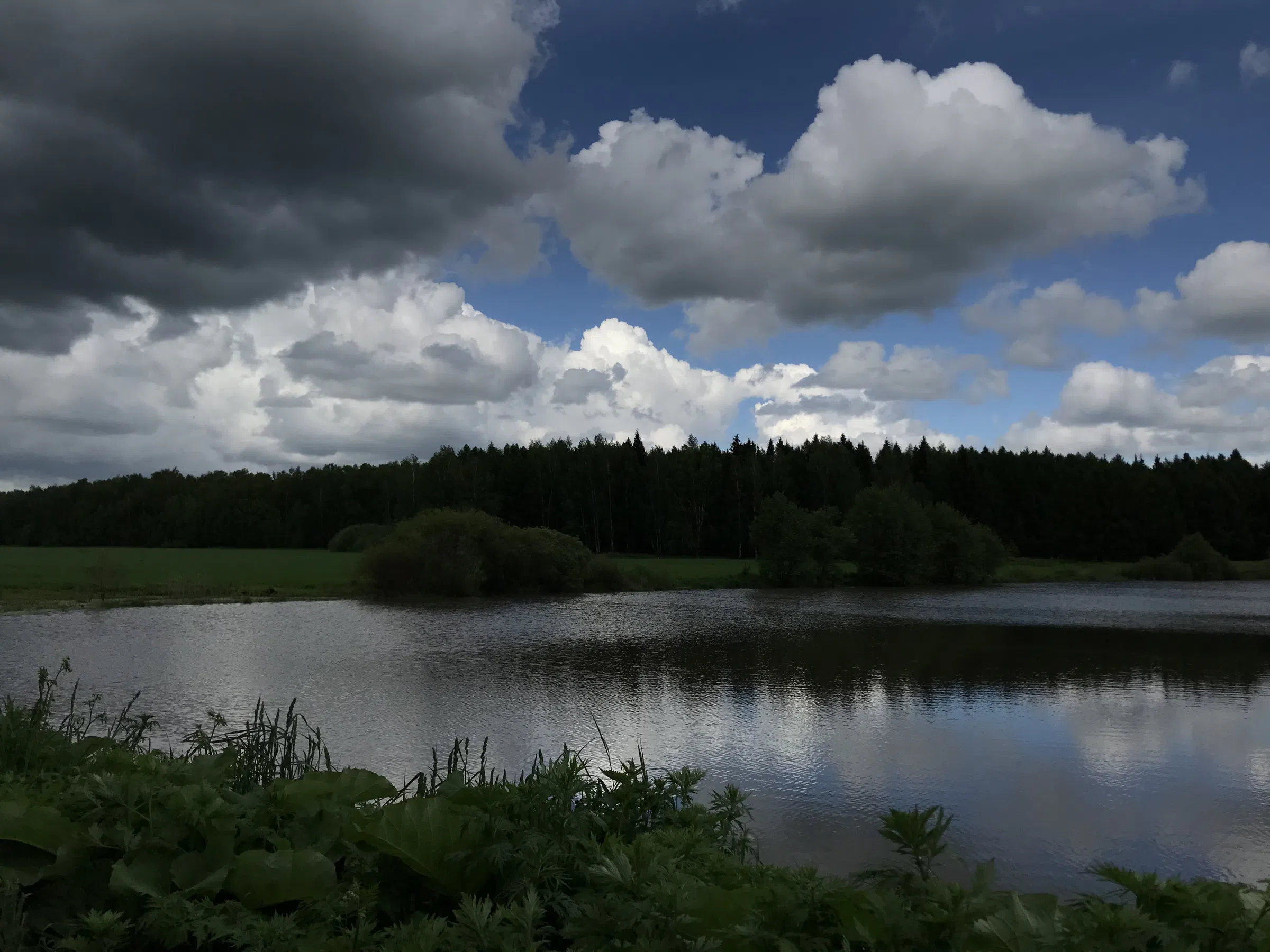 Шоссе среди полей, фото 21