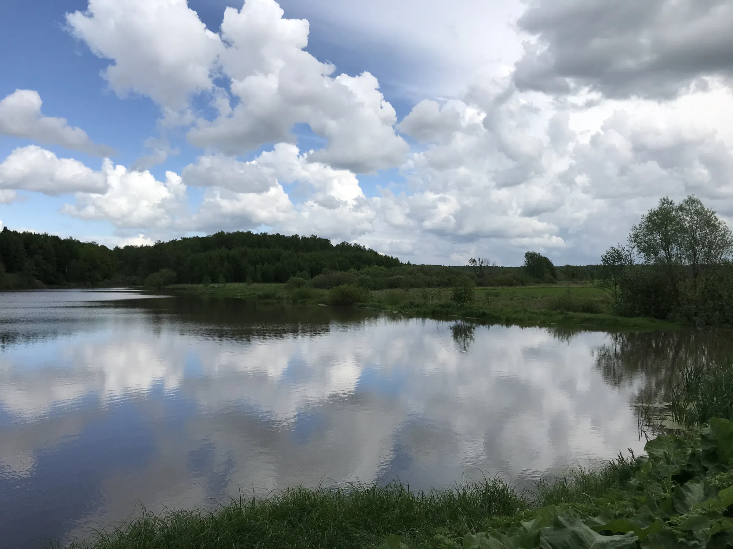 Шоссе среди полей, фото 22
