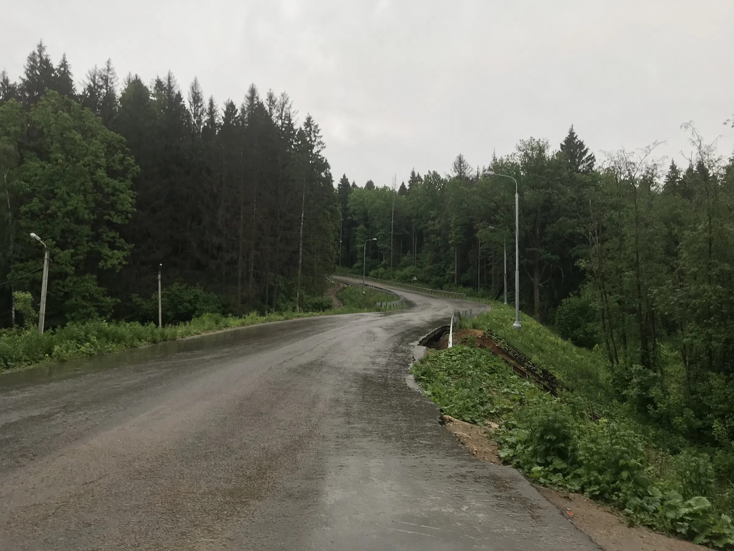 Лесная дорога с фонарями, фото 16