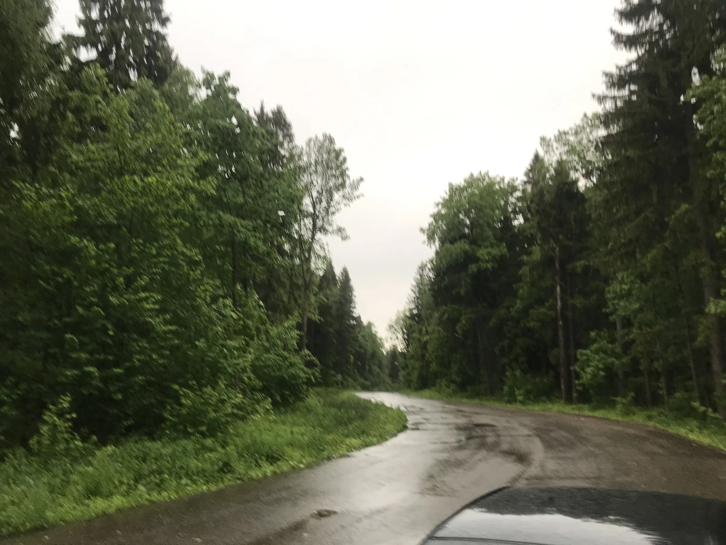 Лесная дорога с фонарями, фото 11