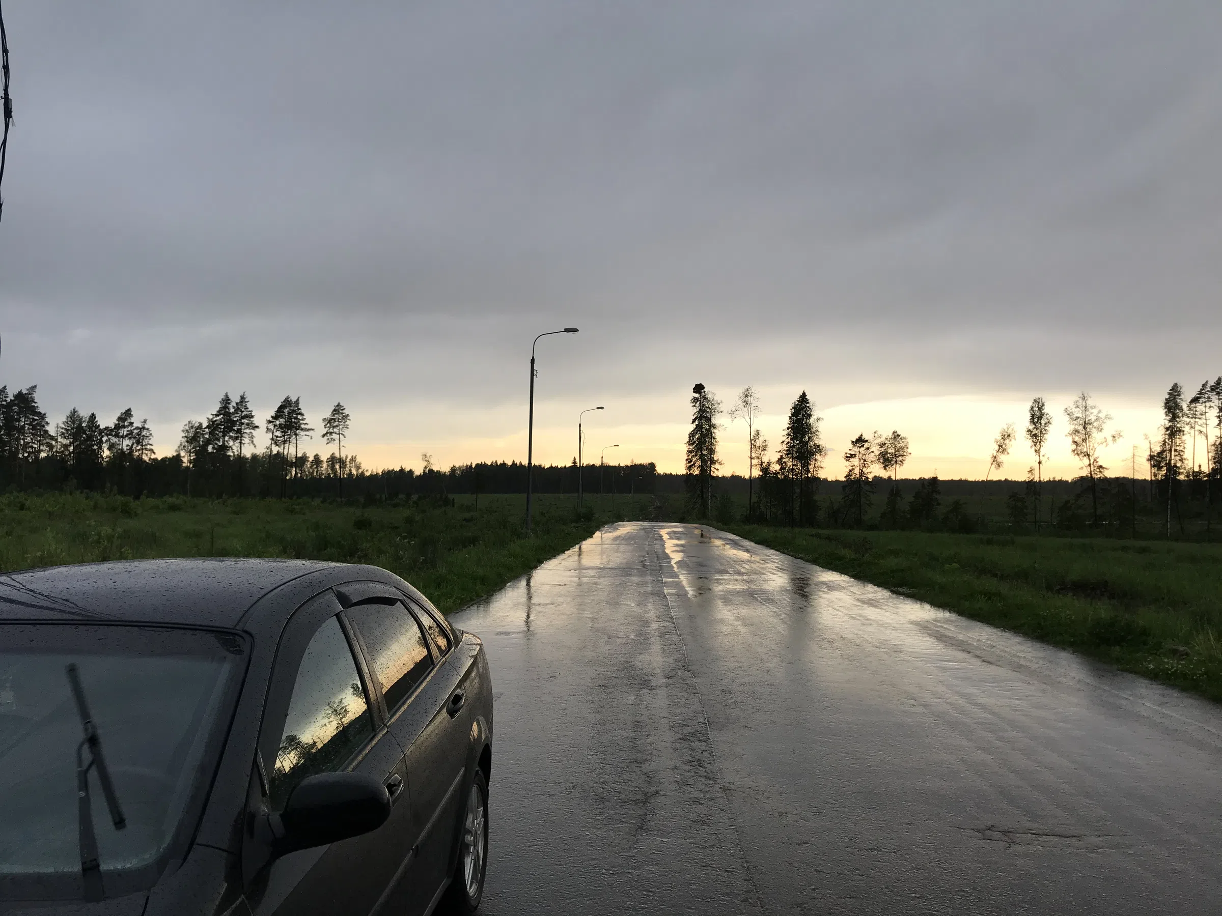 Лесная дорога с фонарями, фото 3