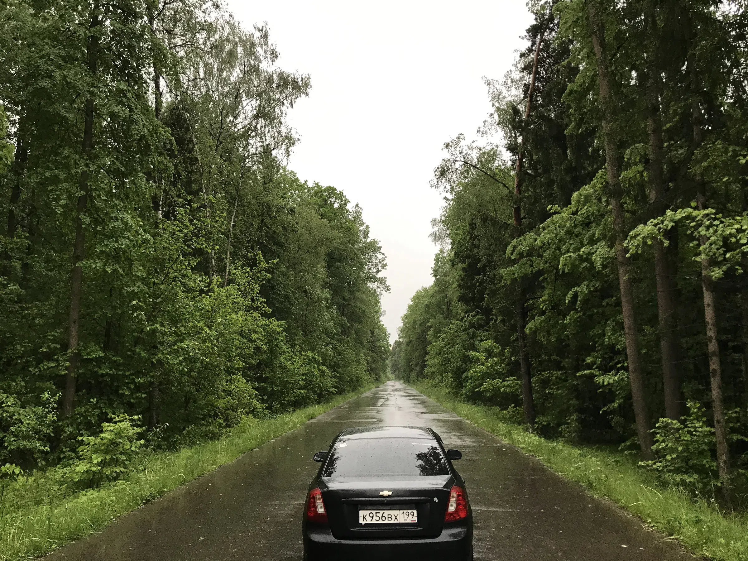 Лесная дорога с фонарями, фото 8