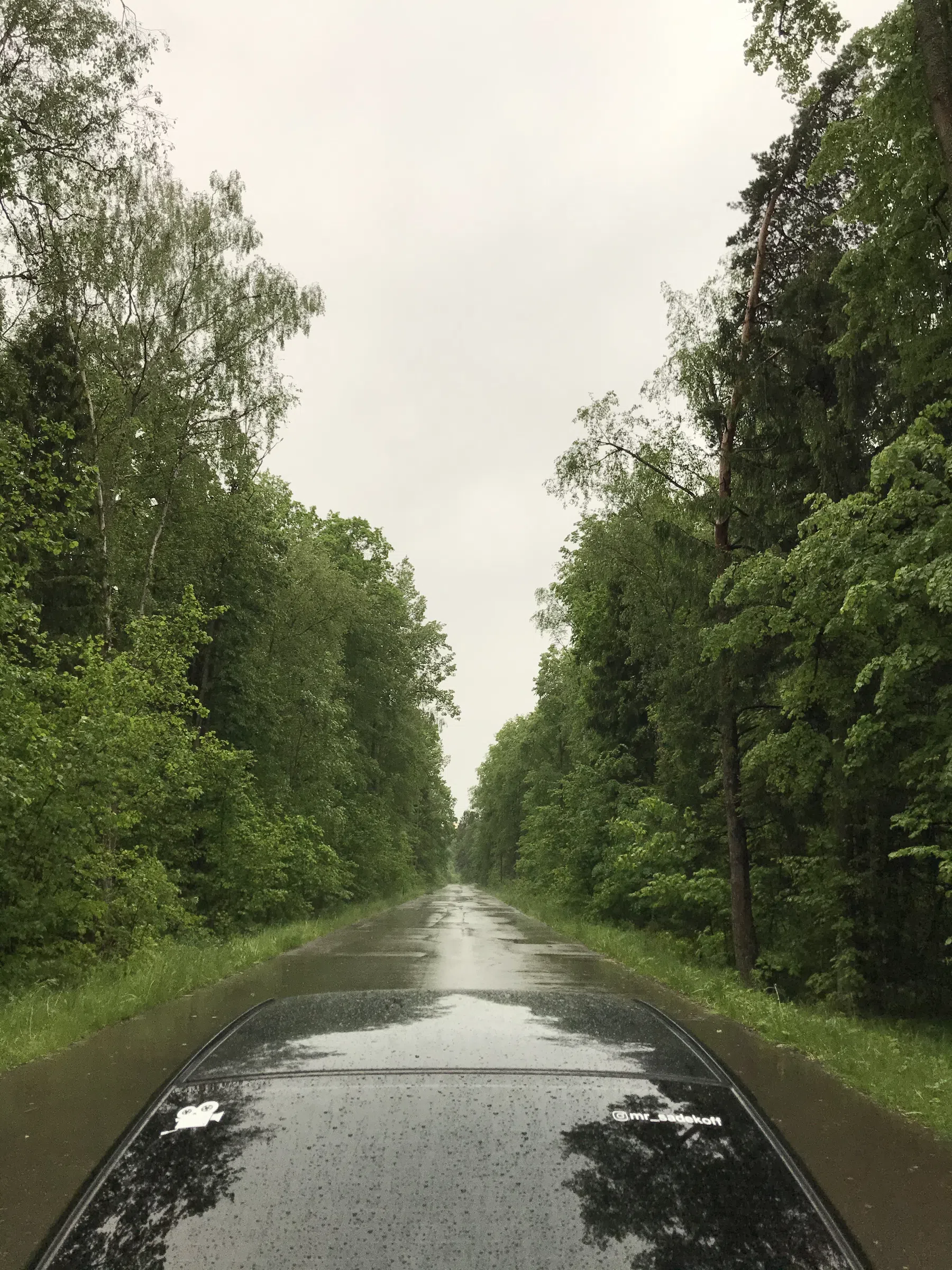 Лесная дорога с фонарями, фото 9