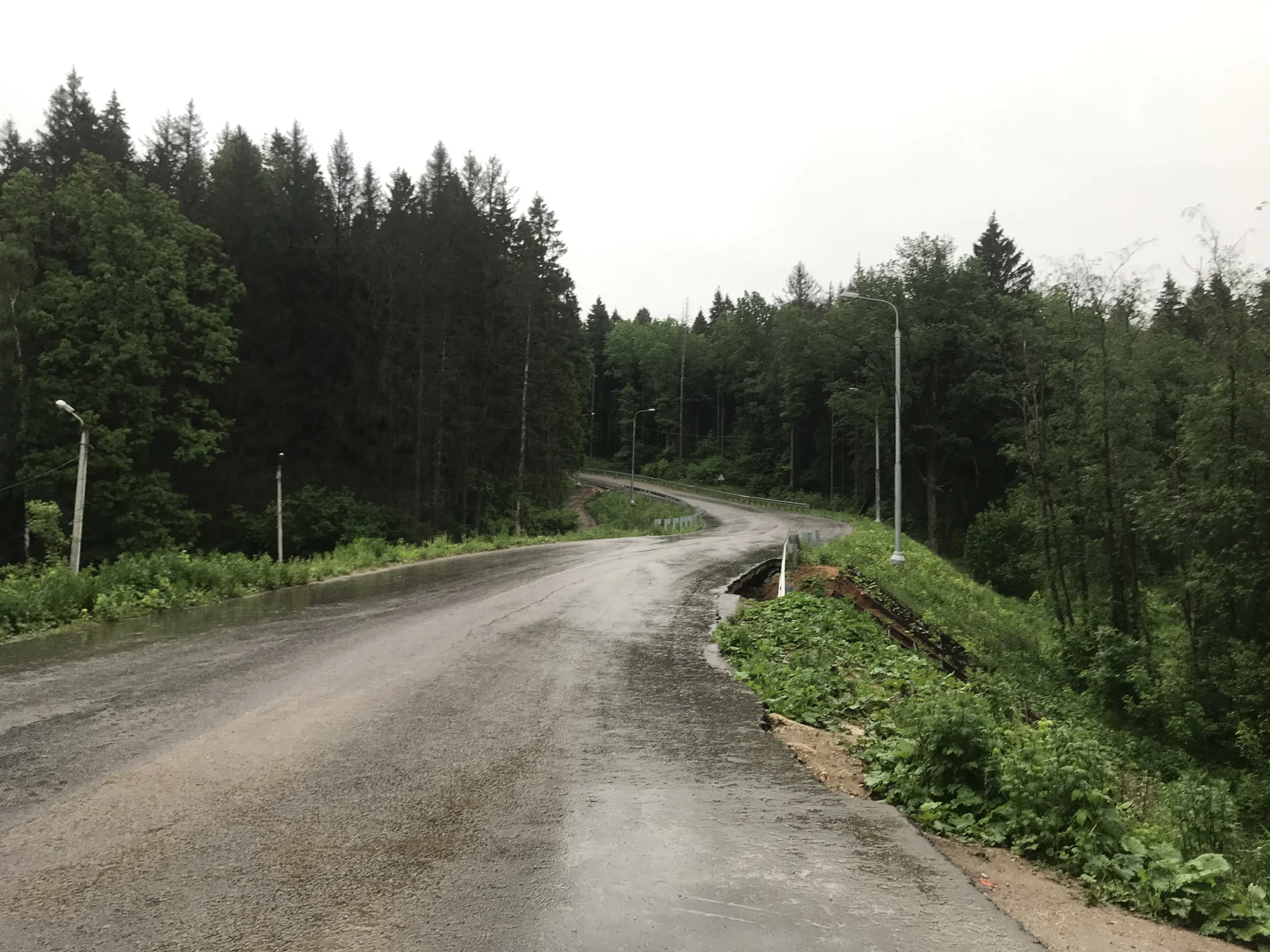 Лесная дорога с фонарями, фото 15