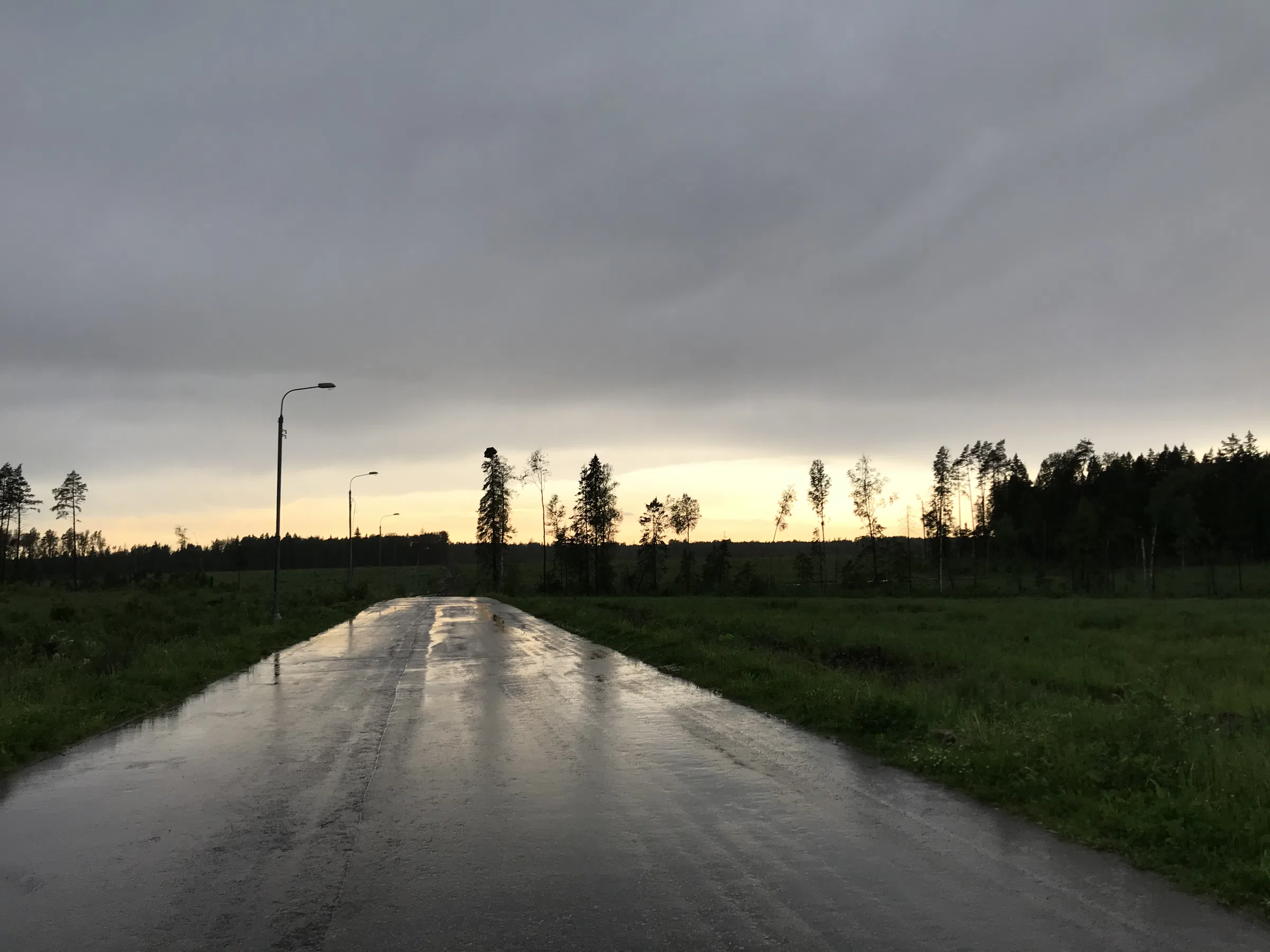 Лесная дорога с фонарями, фото 6