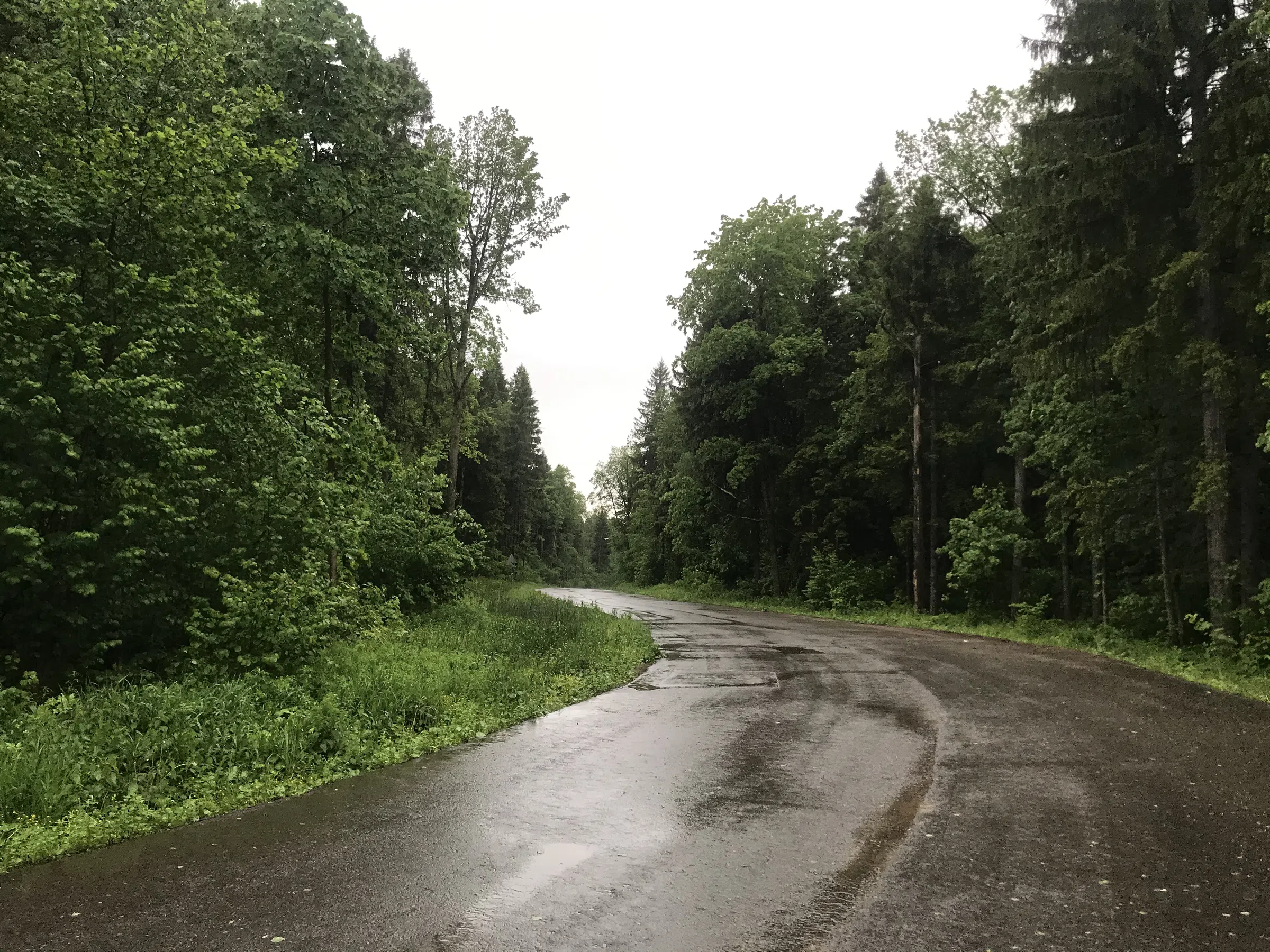 Лесная дорога с фонарями, фото 13
