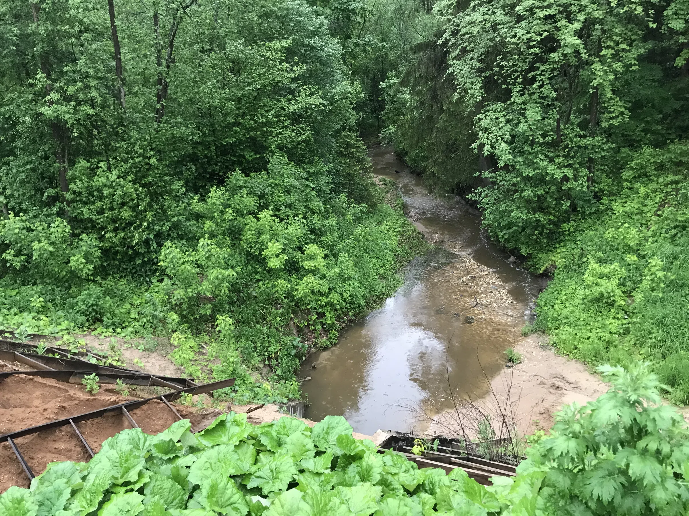 Лесная дорога с фонарями, фото 23