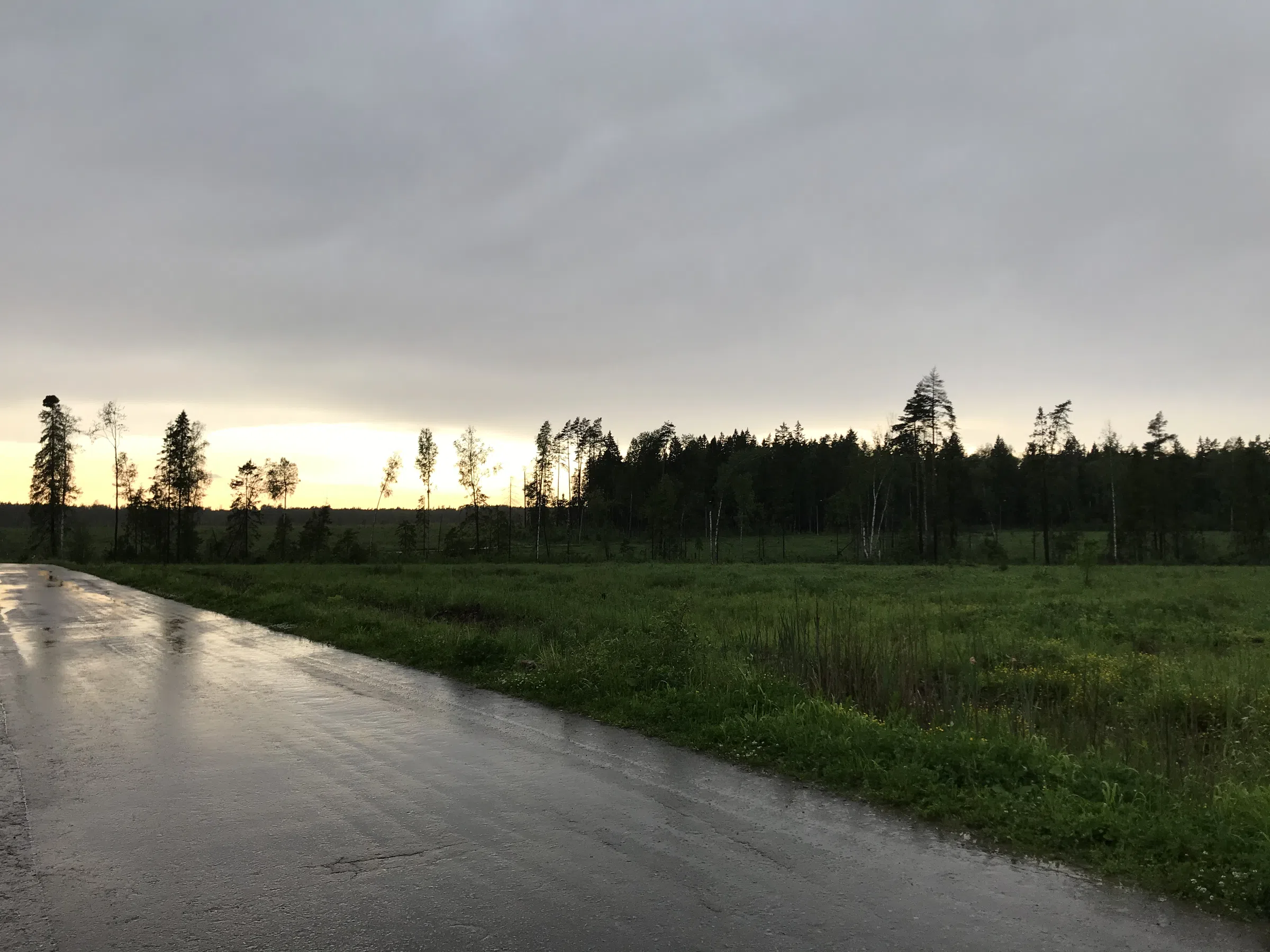 Лесная дорога с фонарями, фото 4