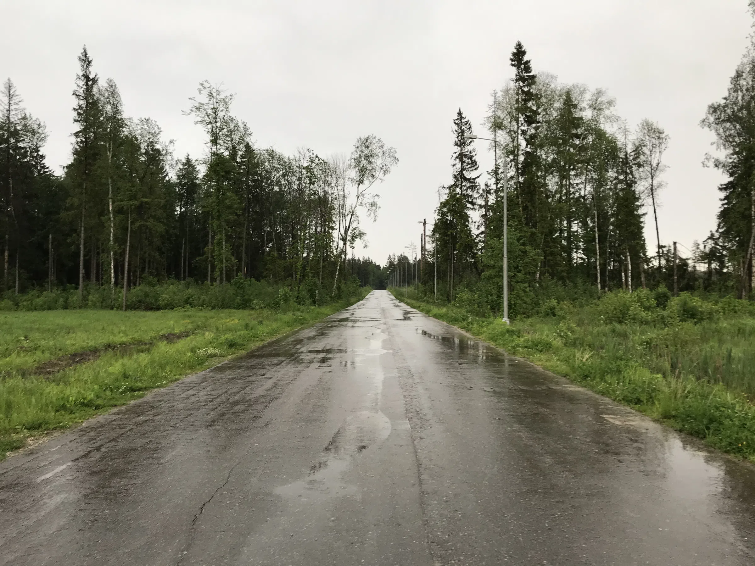 Лесная дорога с фонарями, фото 5