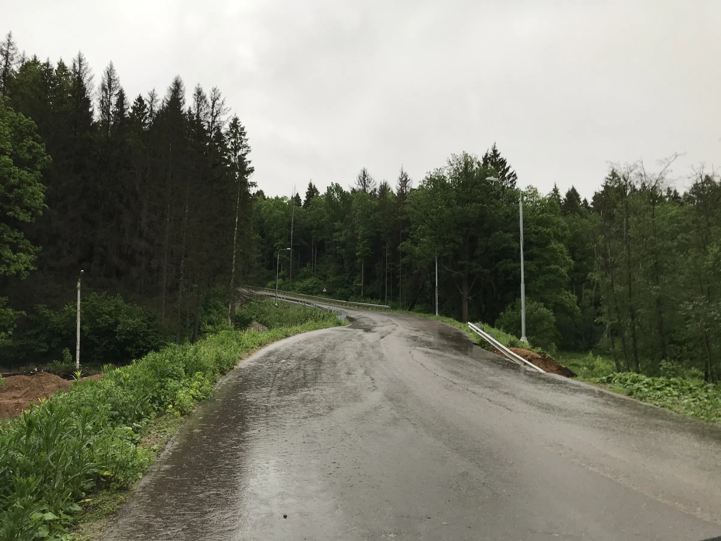 Лесная дорога с фонарями, фото 17