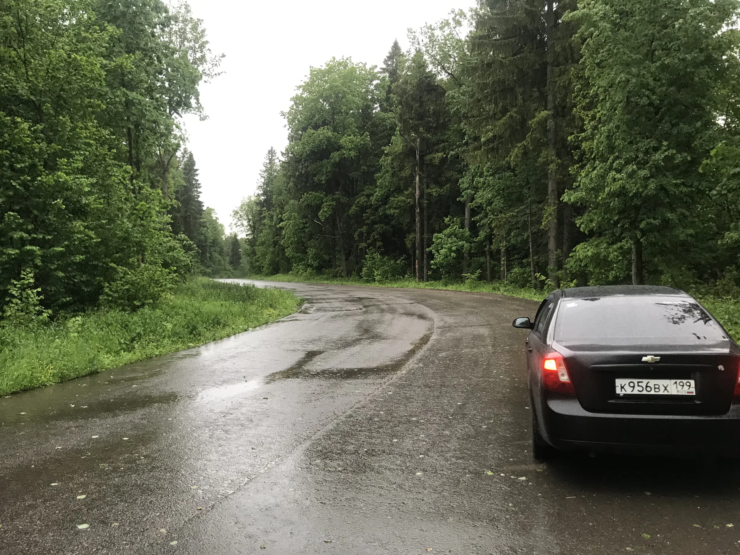 Лесная дорога с фонарями, фото 10