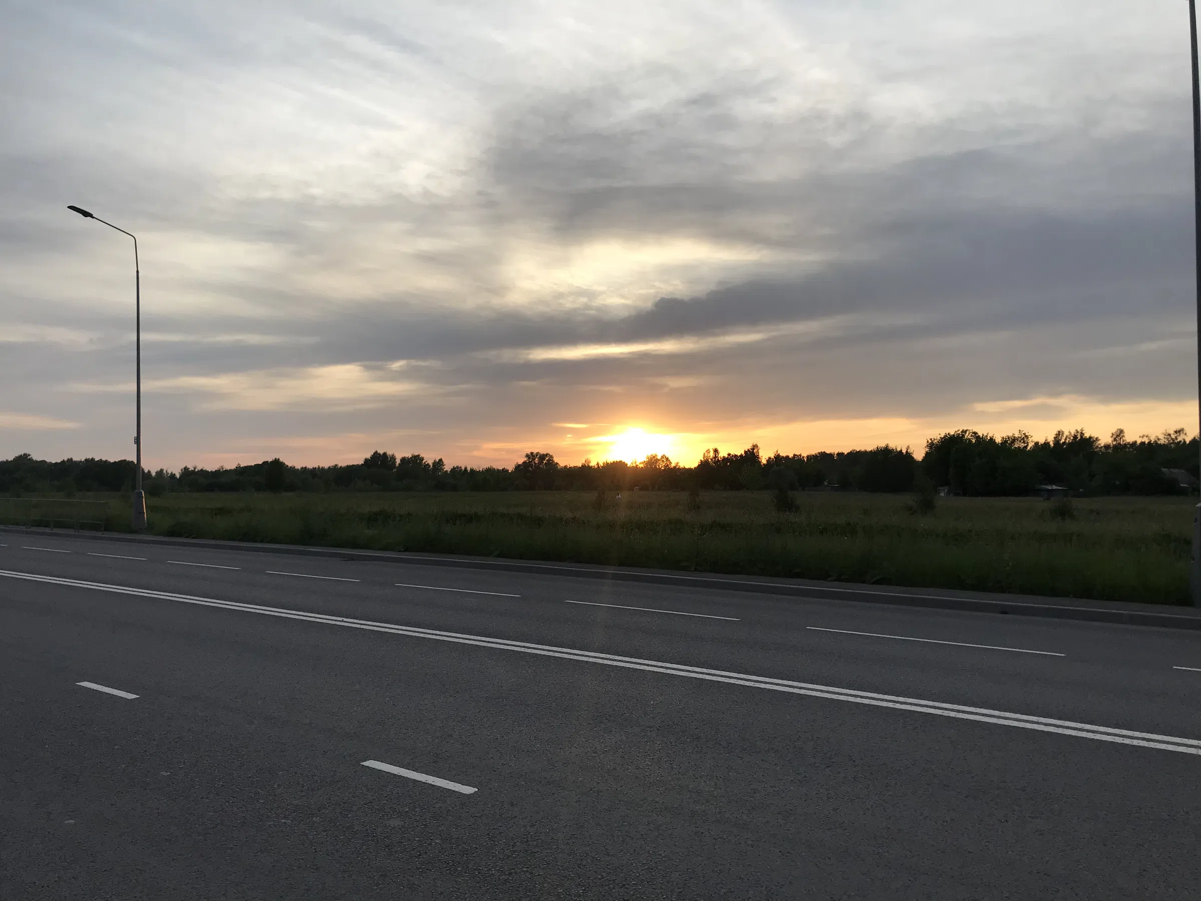 Широкое шоссе у леса, фото 4