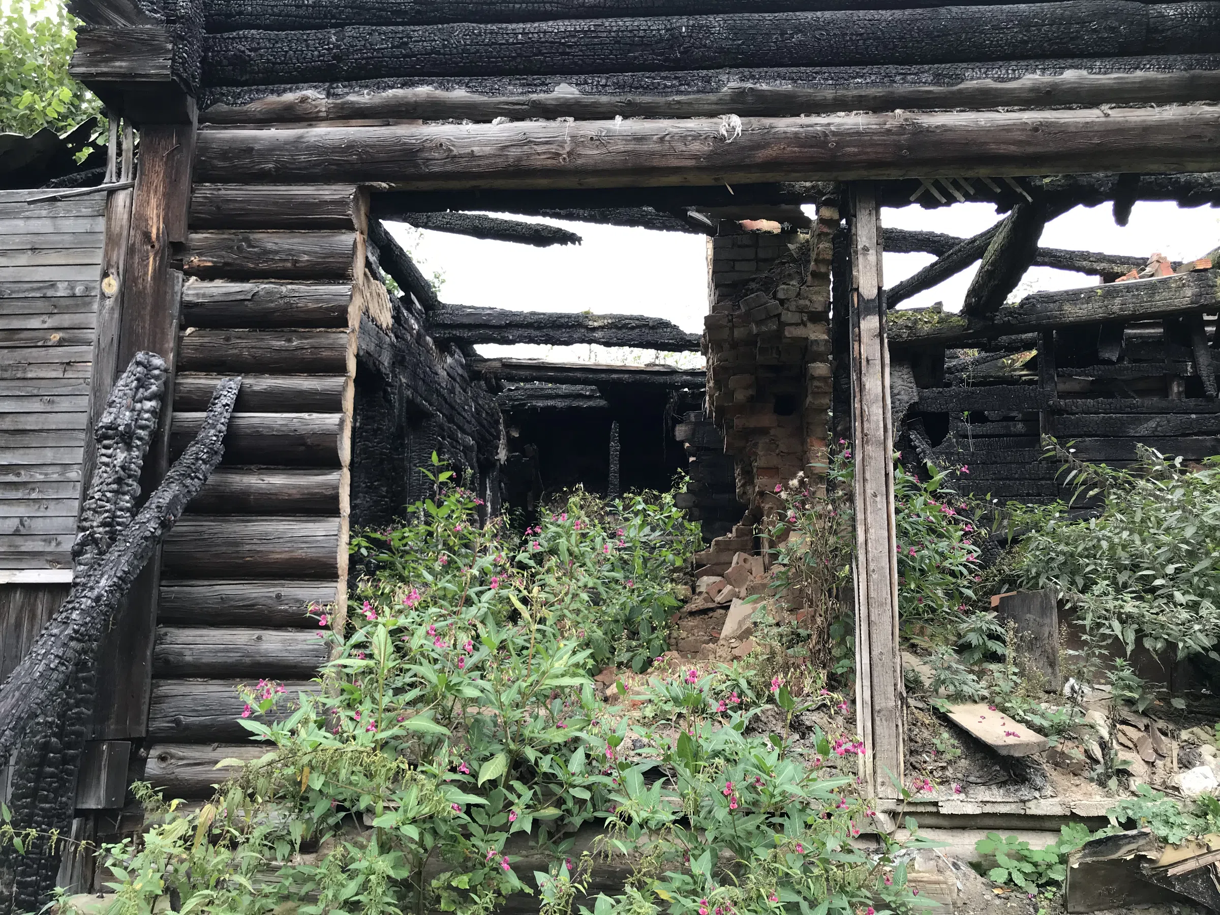 Заброшенная дача в лесу, фото 19
