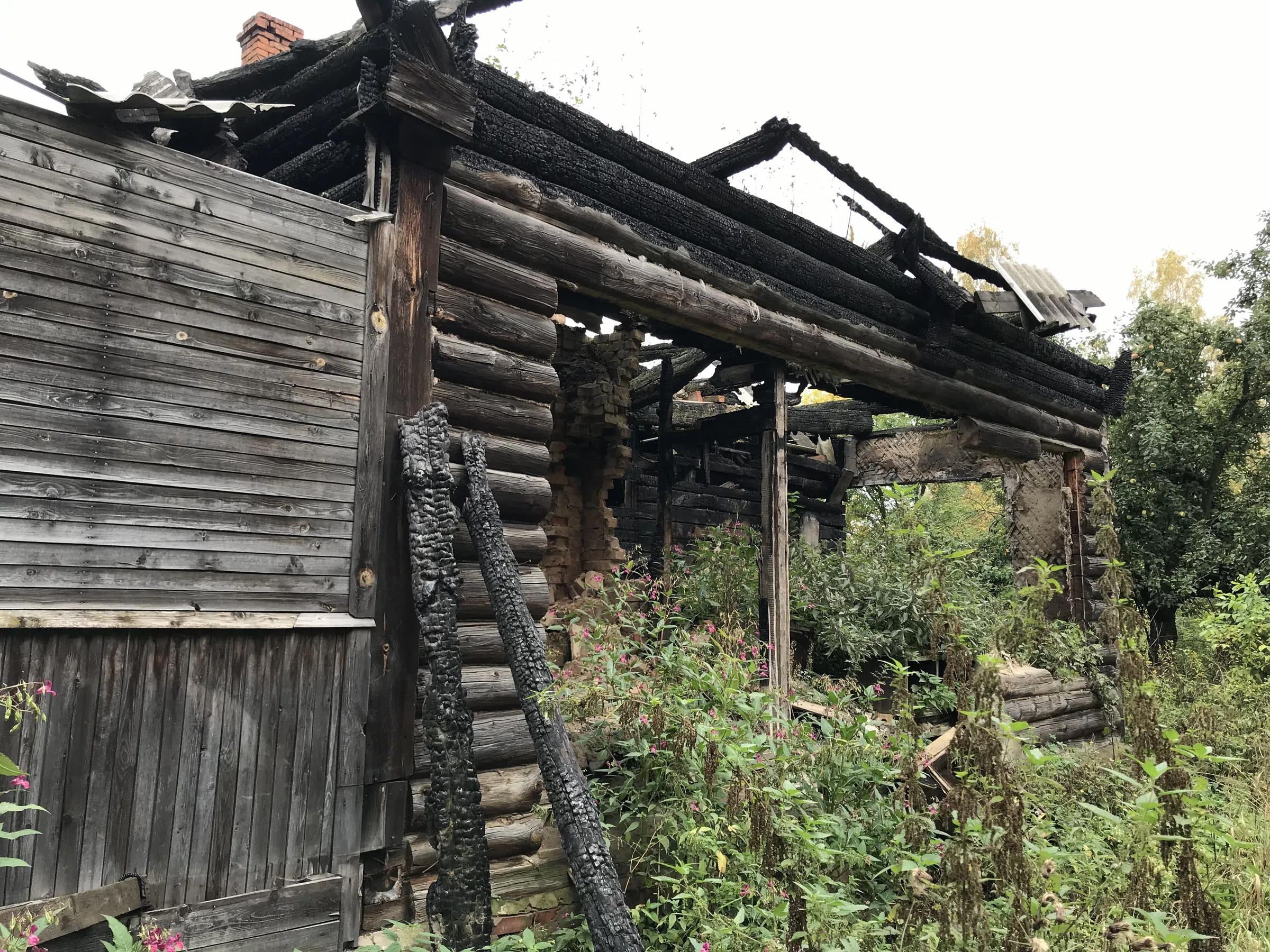 Заброшенная дача в лесу, фото 18