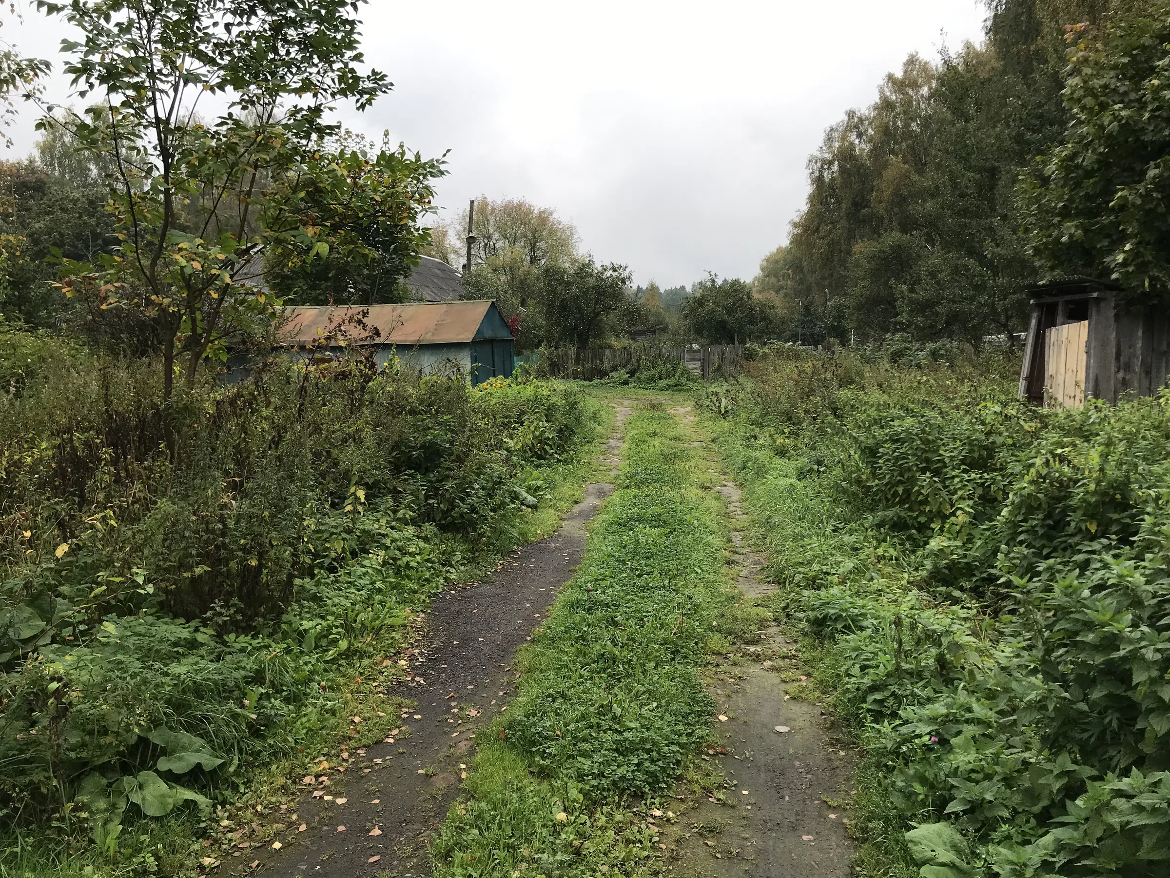 Заброшенная дача в лесу, фото 5