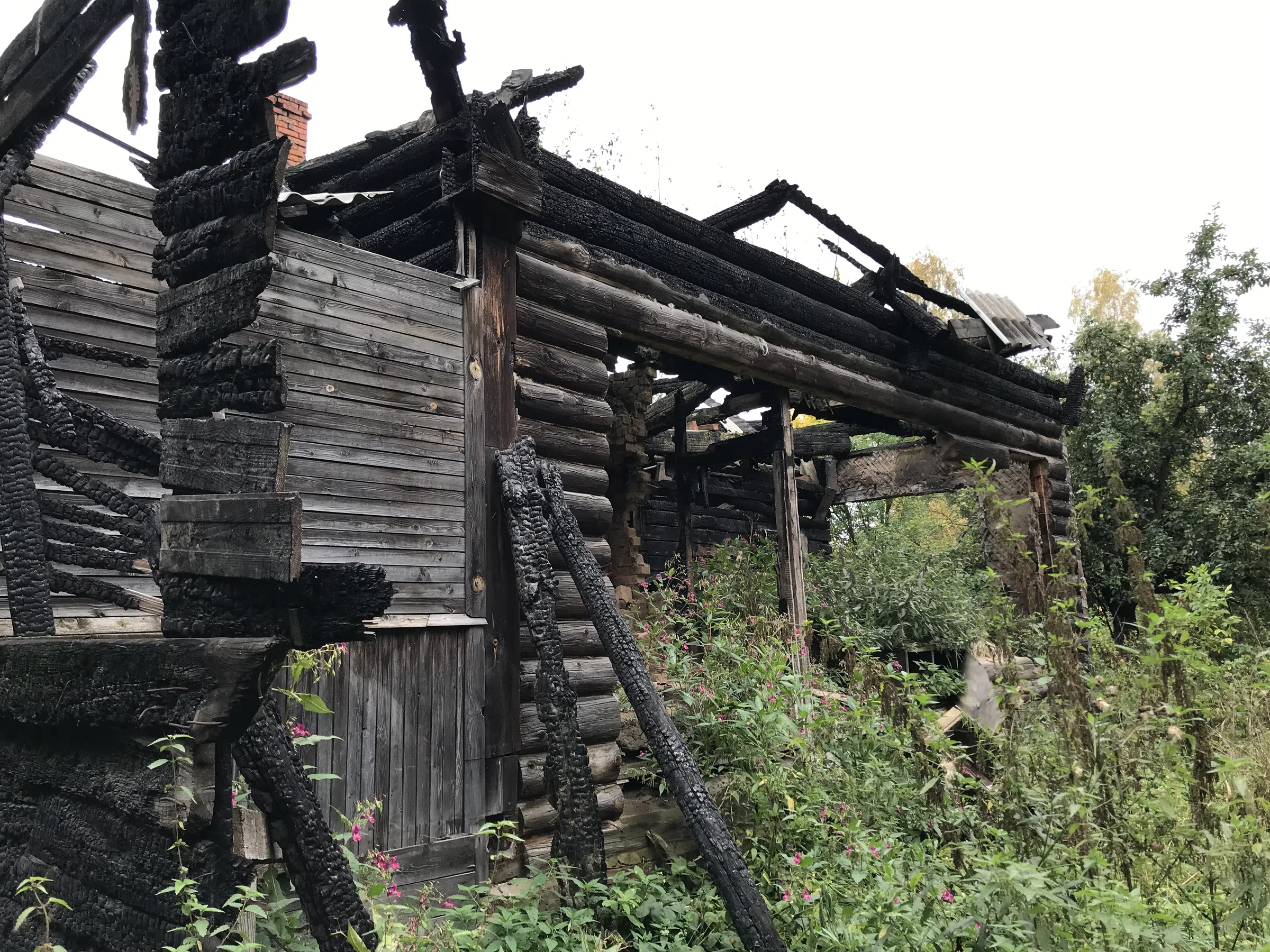 Заброшенная дача в лесу, фото 17