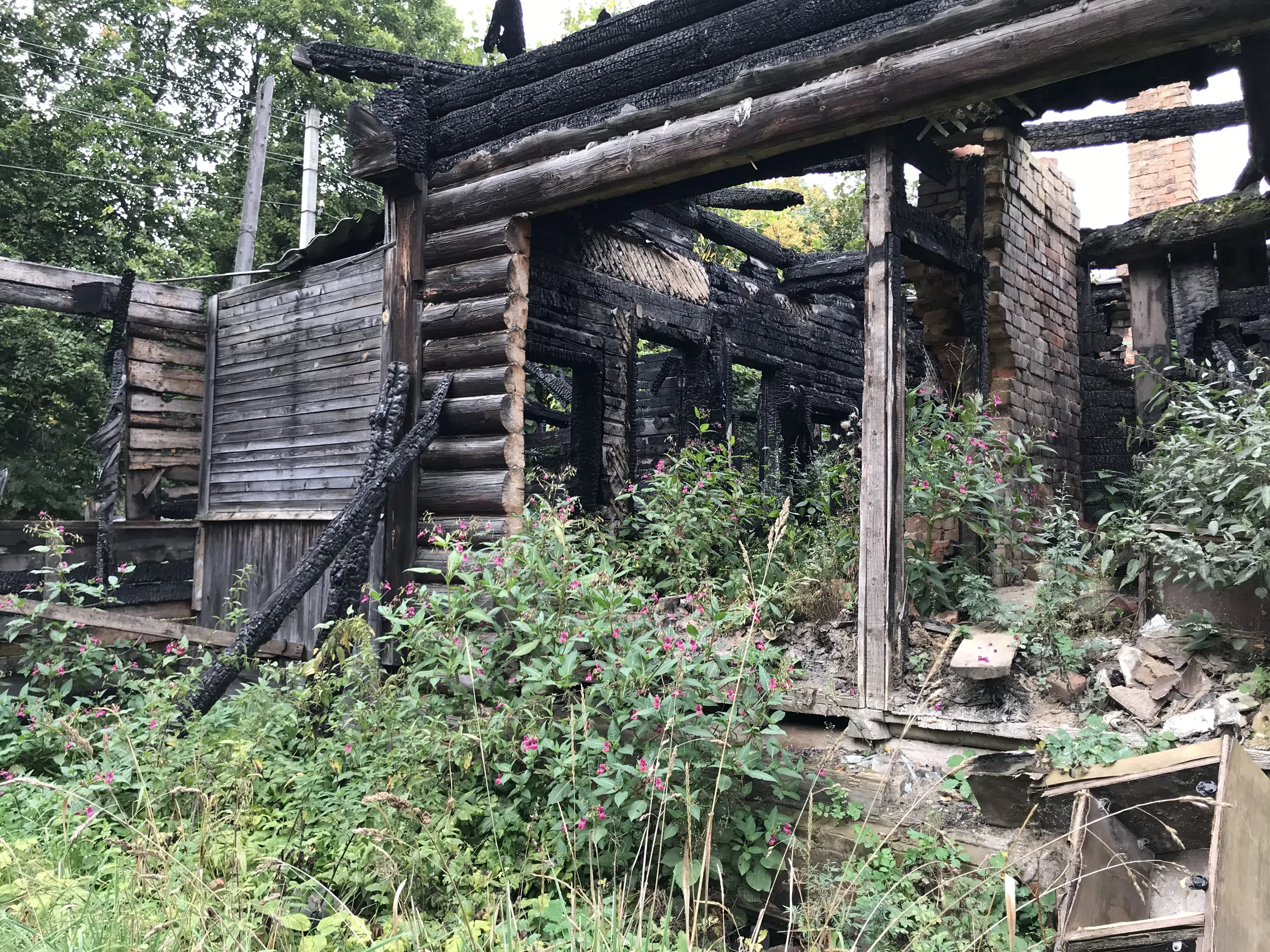 Заброшенная дача в лесу, фото 22
