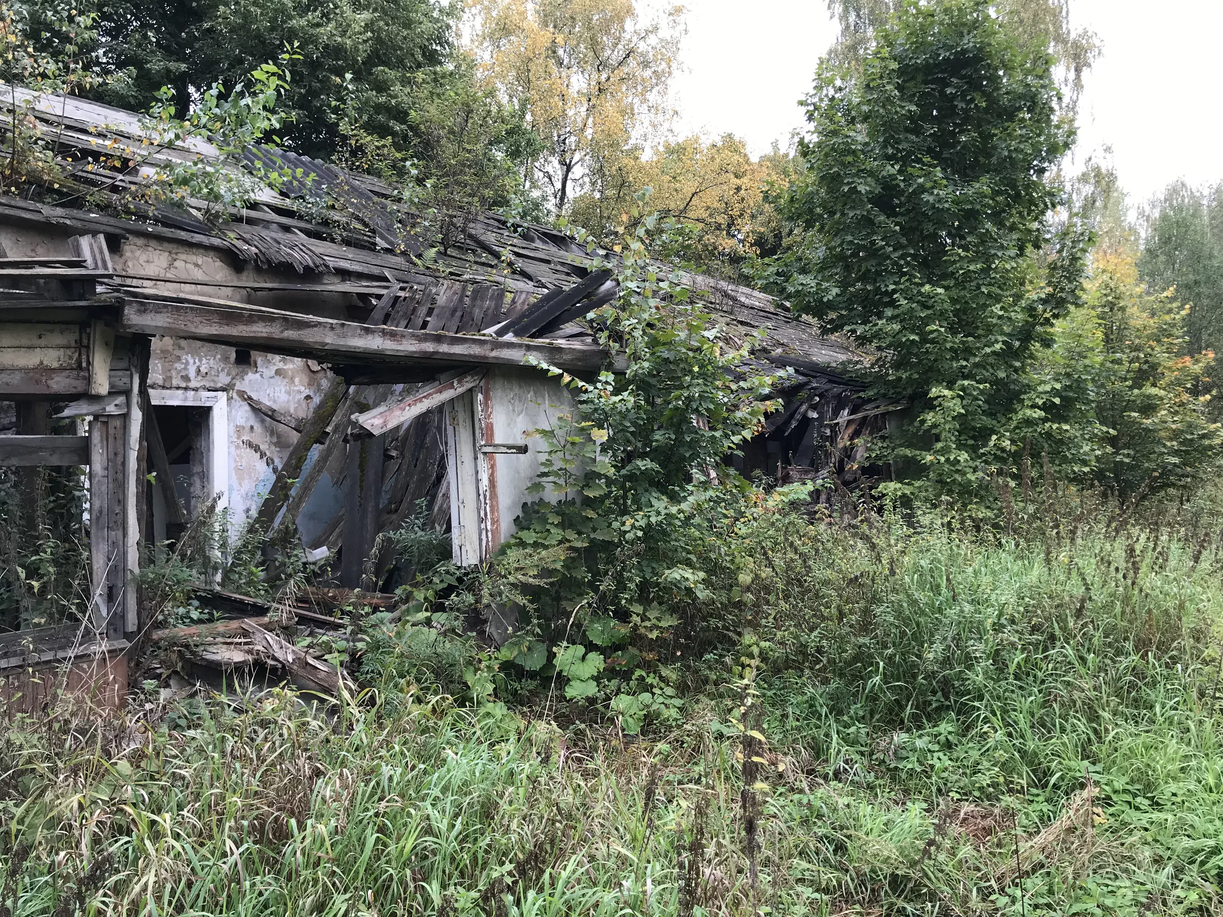 Заброшенная дача в лесу, фото 2