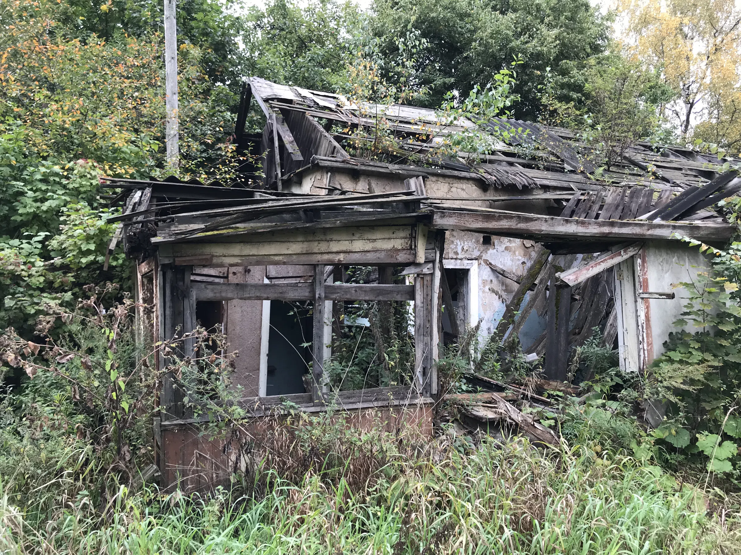 Заброшенная дача в лесу, фото 3