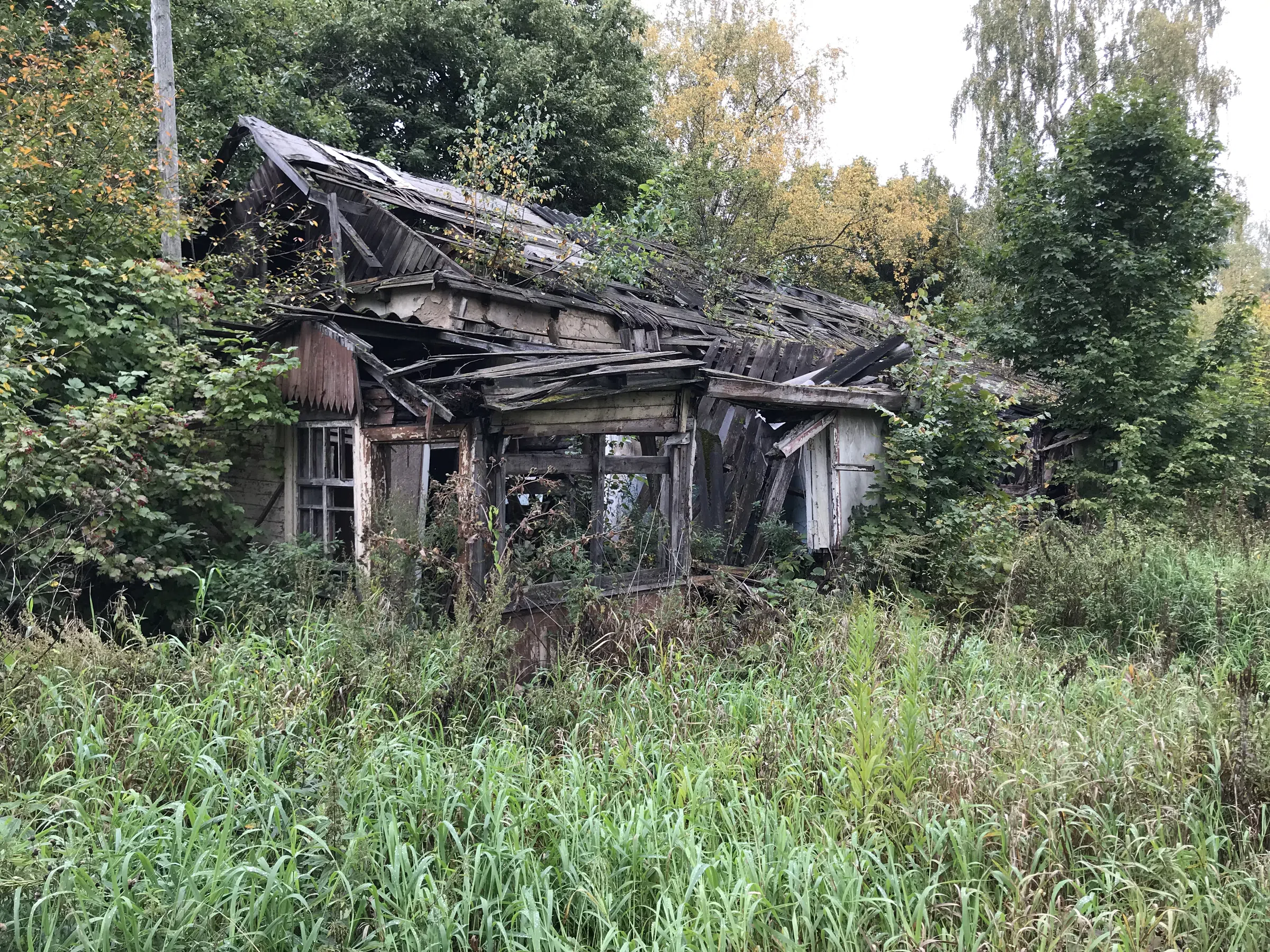 Заброшенная дача в лесу, фото 1