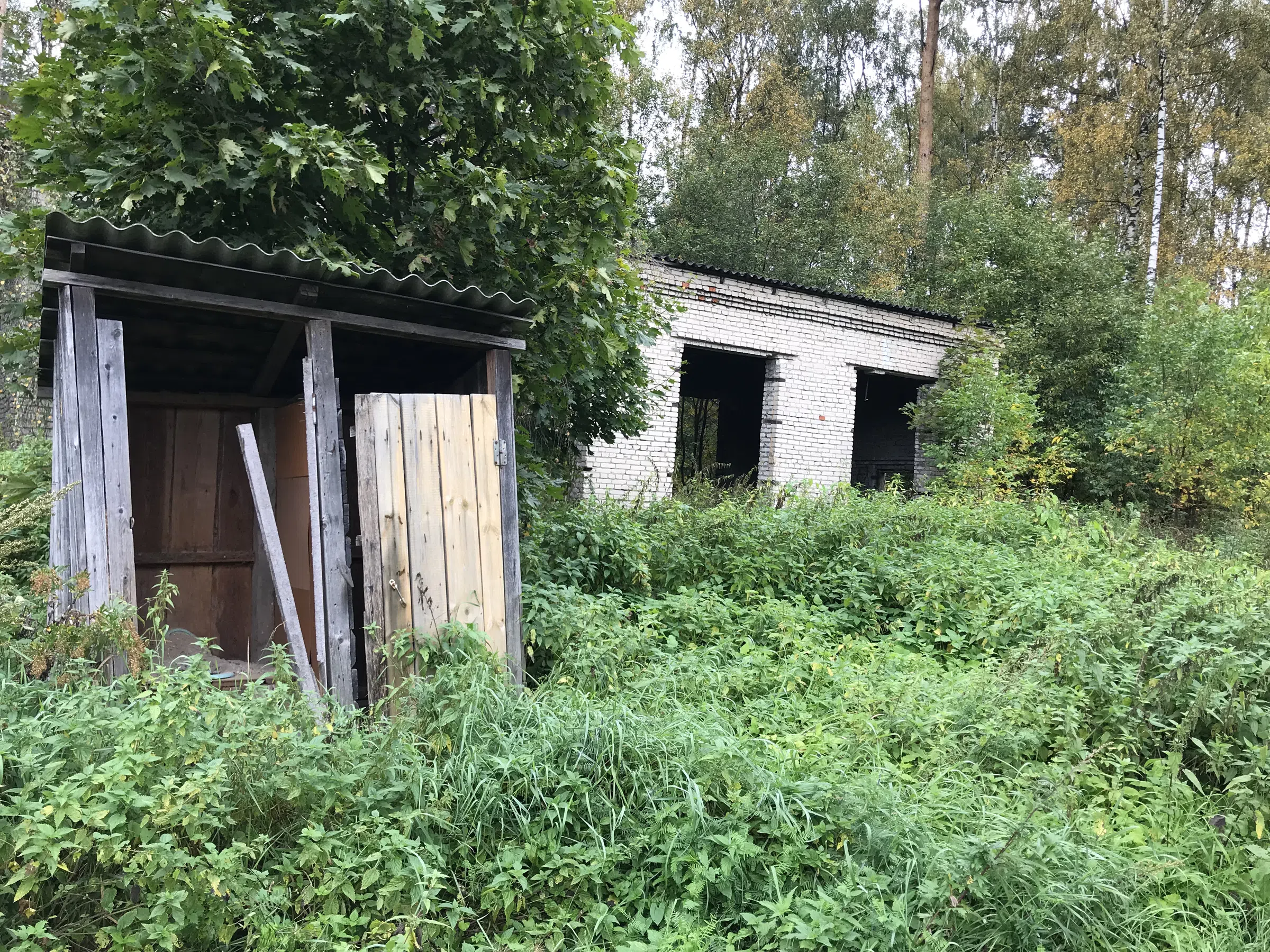 Заброшенная дача в лесу, фото 7