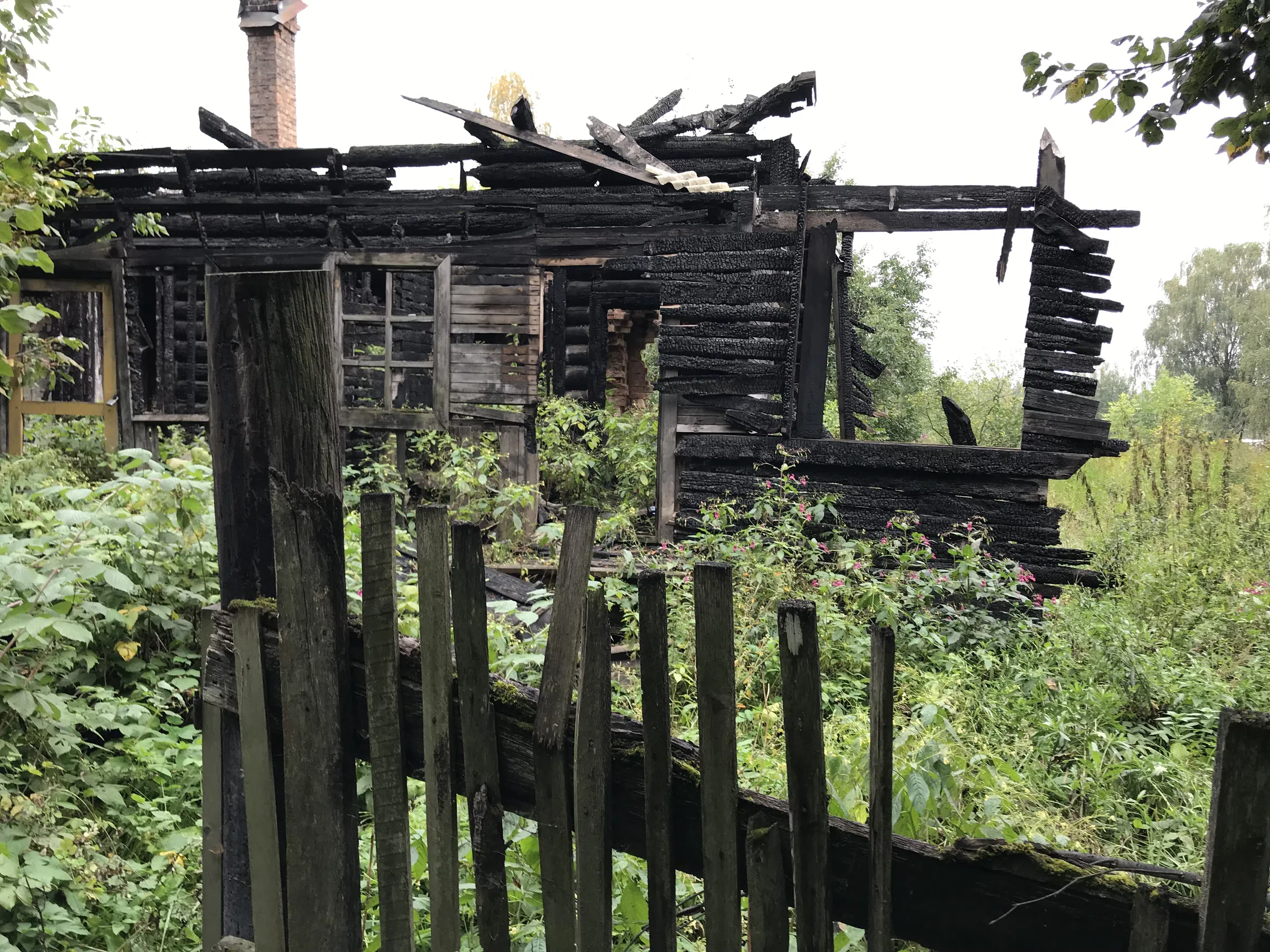 Заброшенная дача в лесу, фото 13
