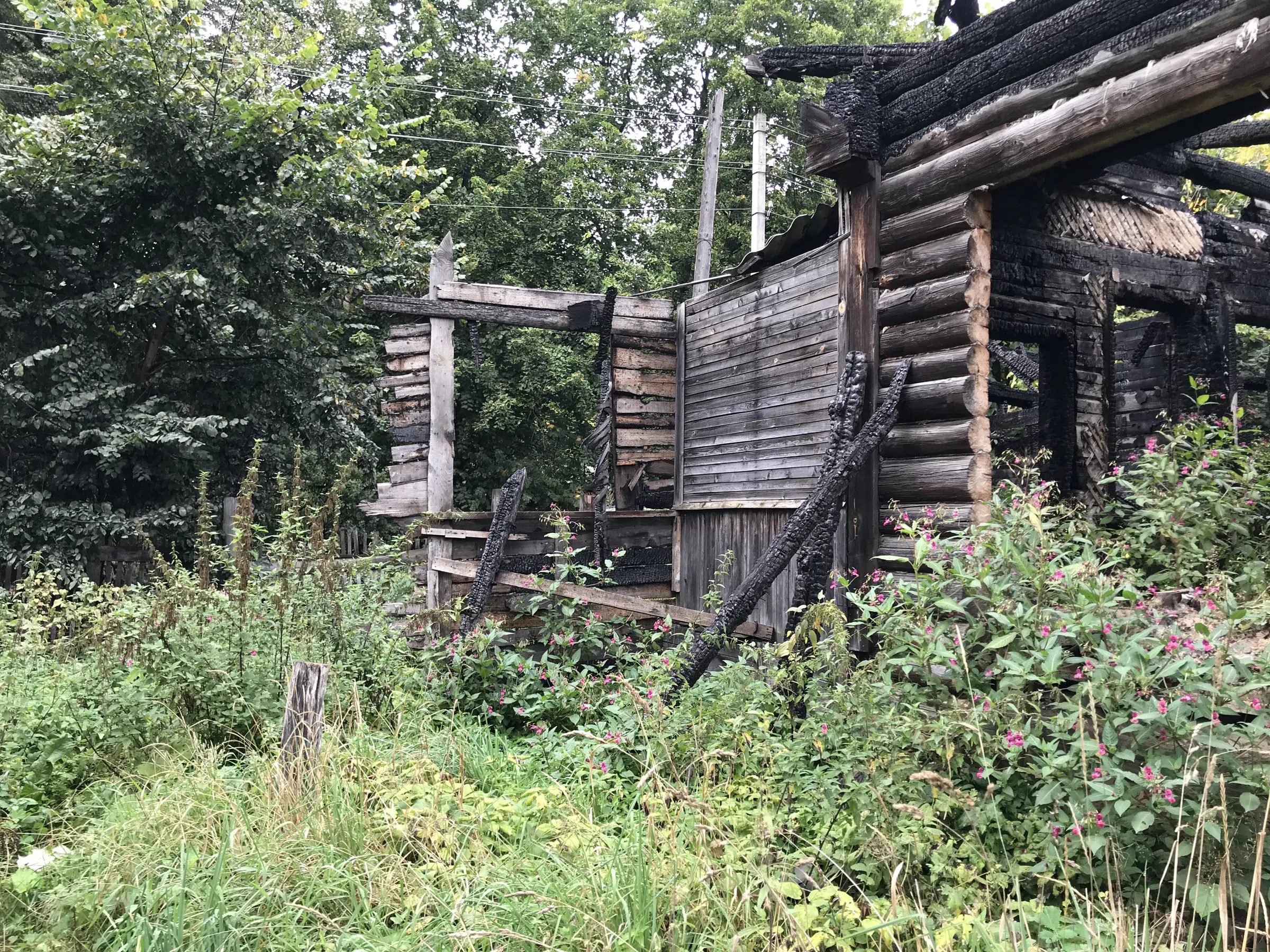 Заброшенная дача в лесу, фото 21