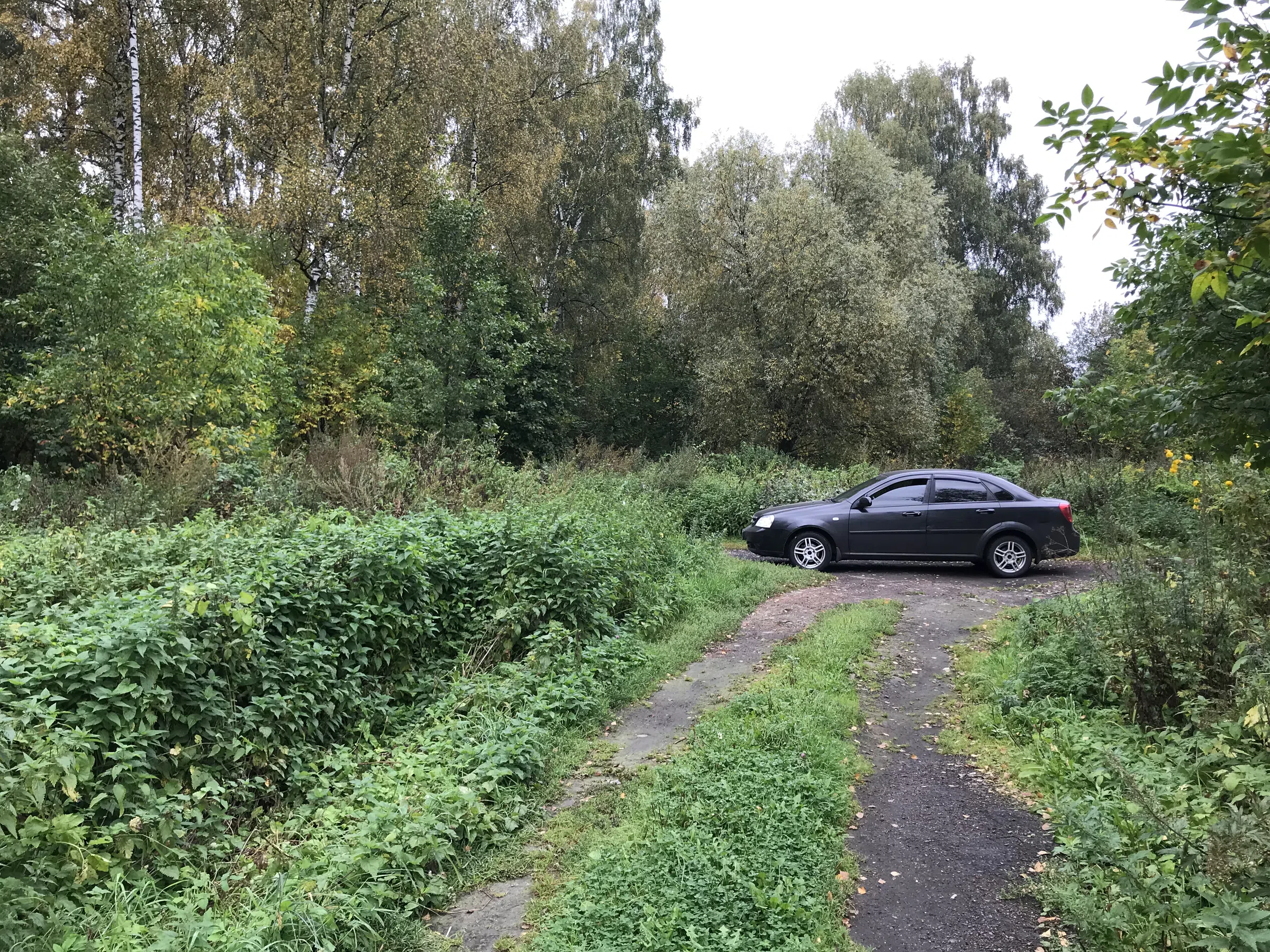 Заброшенная дача в лесу, фото 9