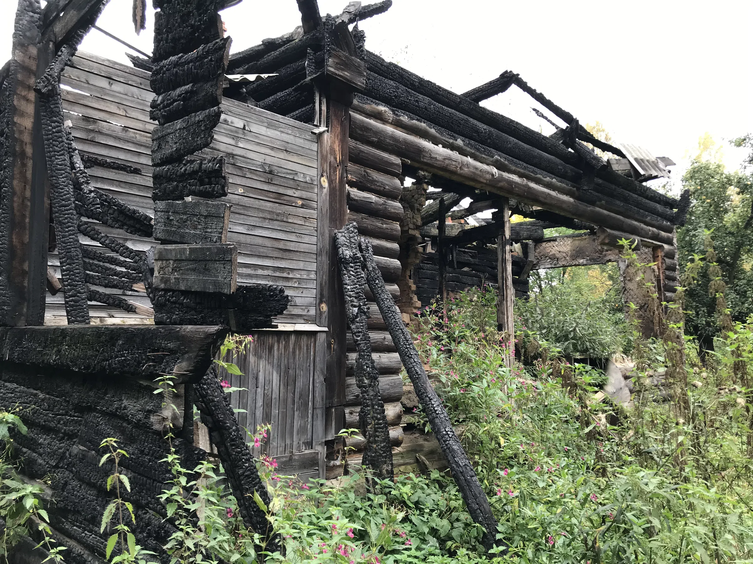 Заброшенная дача в лесу, фото 15