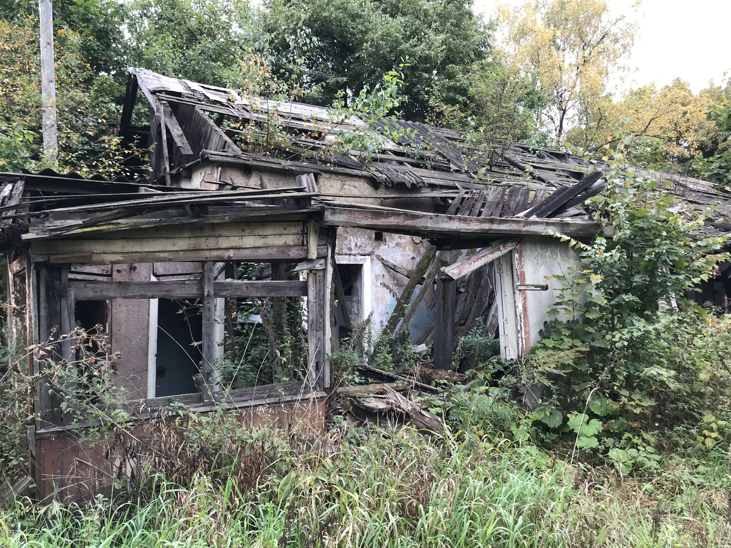 Заброшенная дача в лесу, фото 4