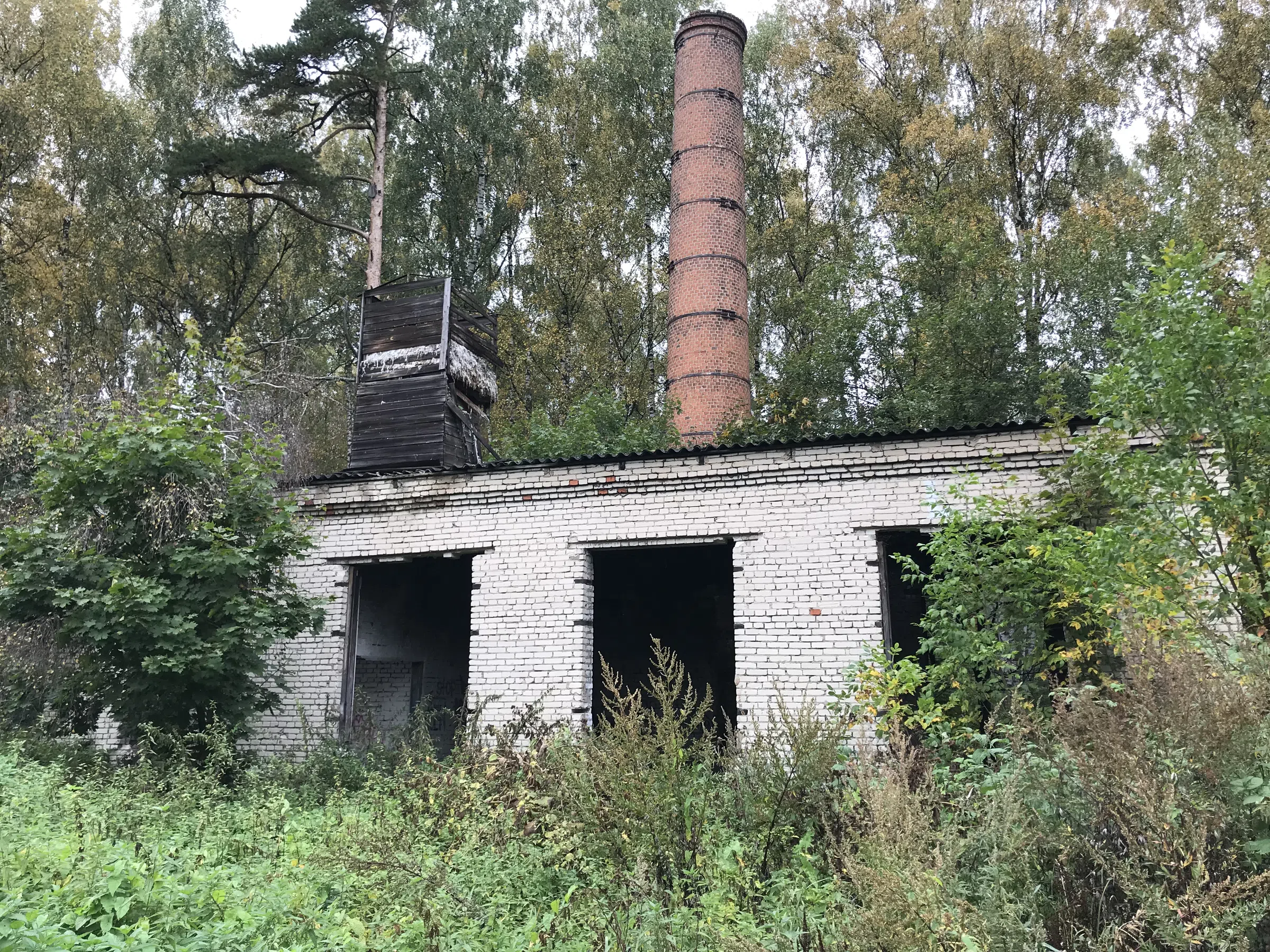 Заброшенная дача в лесу, фото 6