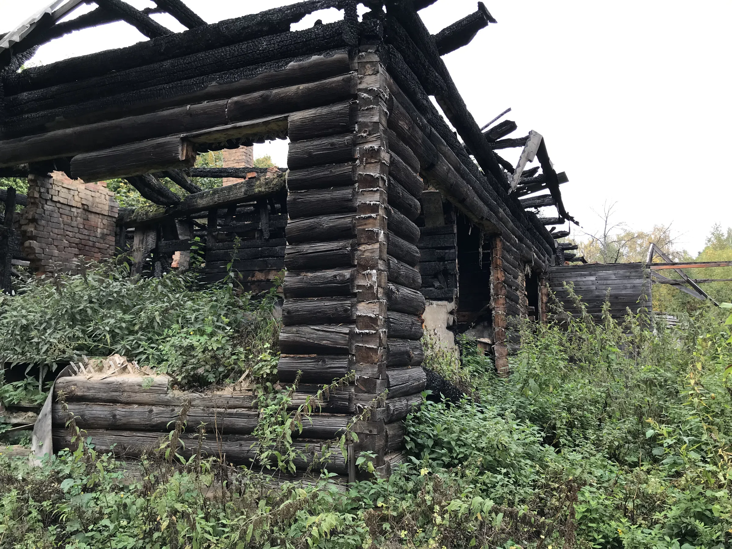 Заброшенная дача в лесу, фото 23