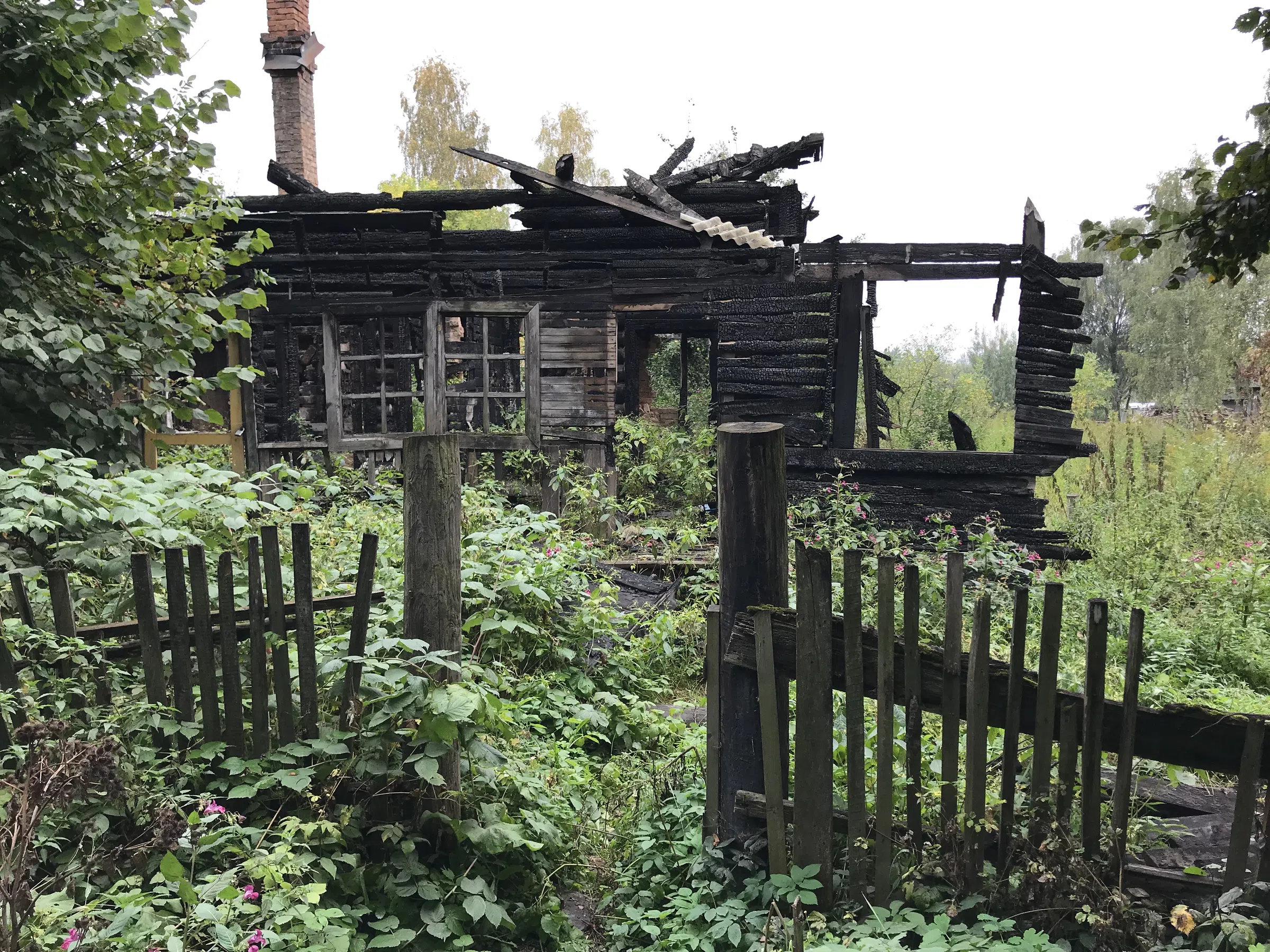 Заброшенная дача в лесу, фото 12