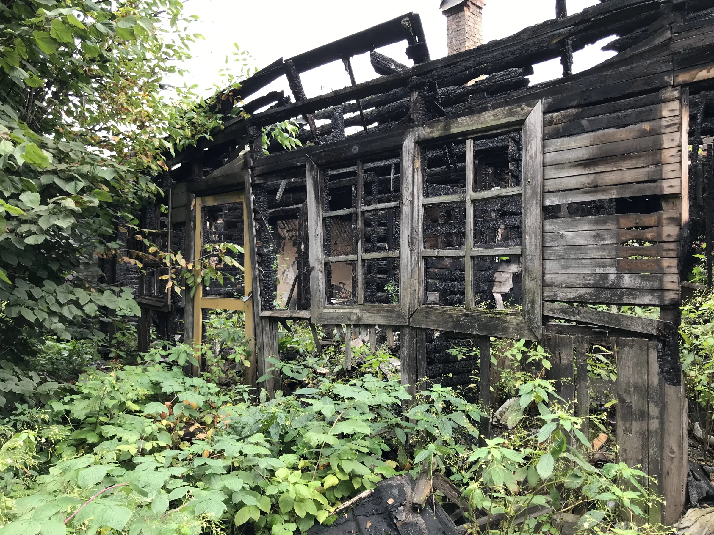 Заброшенная дача в лесу, фото 14