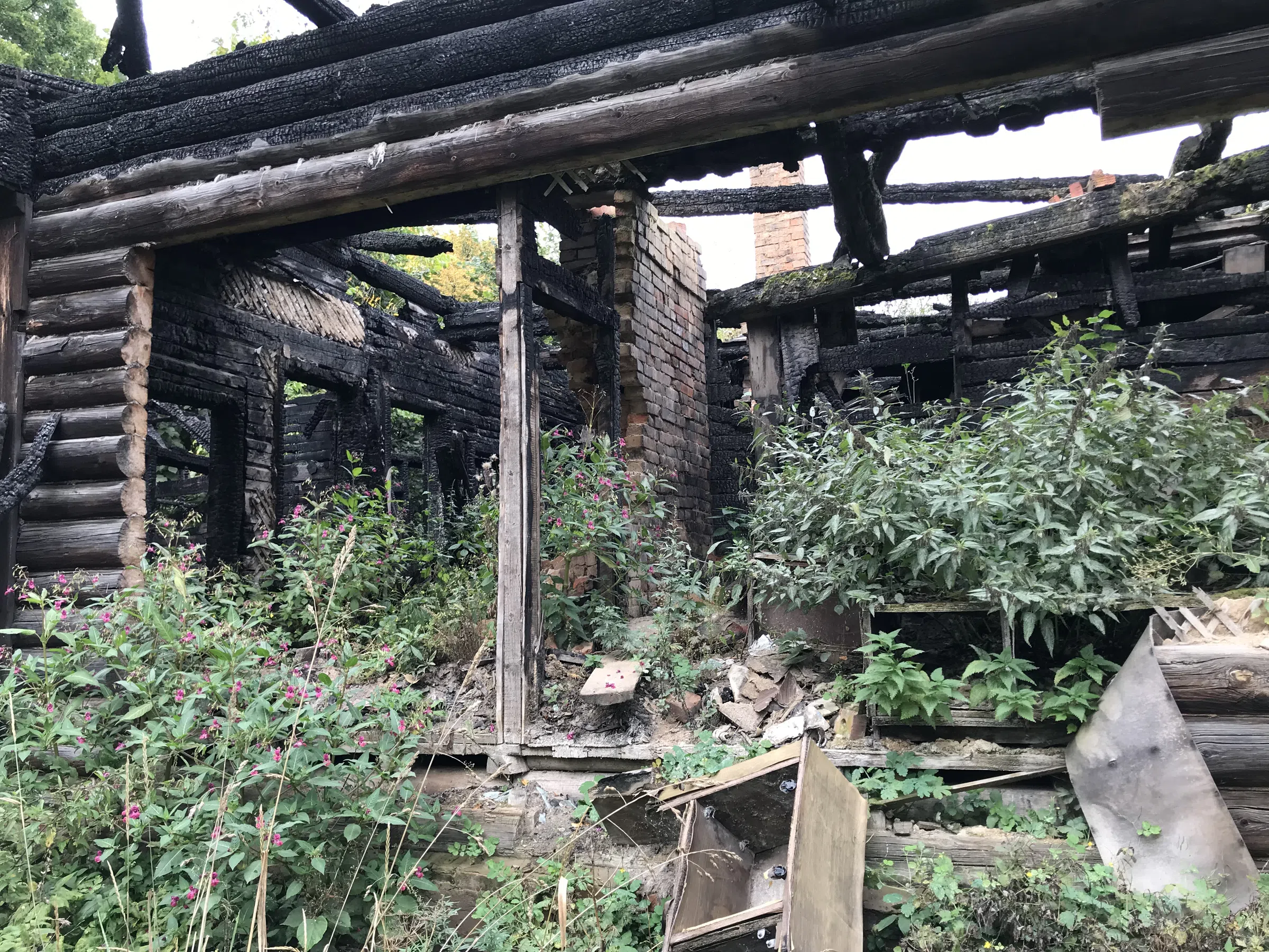 Заброшенная дача в лесу, фото 20
