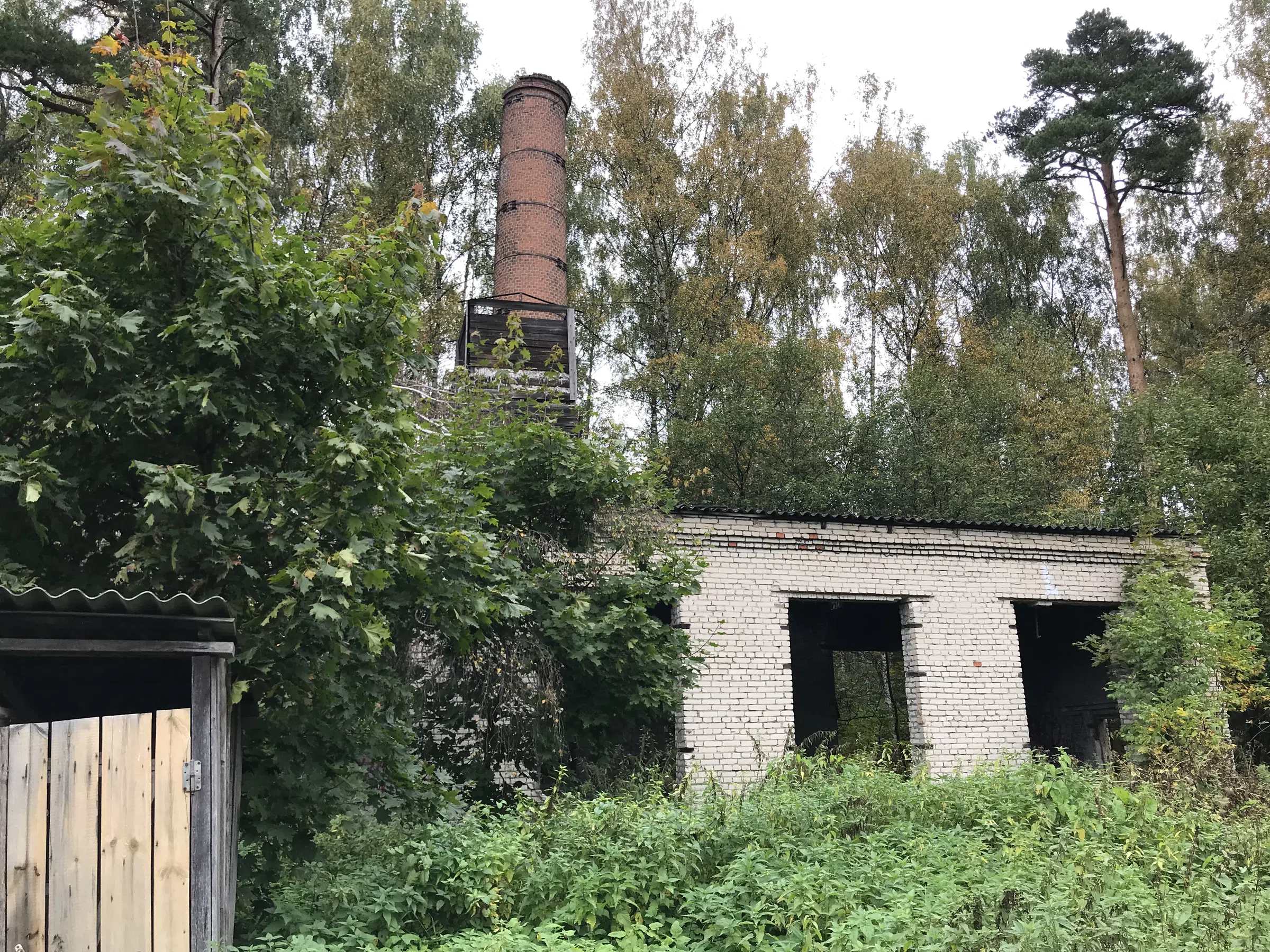 Заброшенная дача в лесу, фото 8