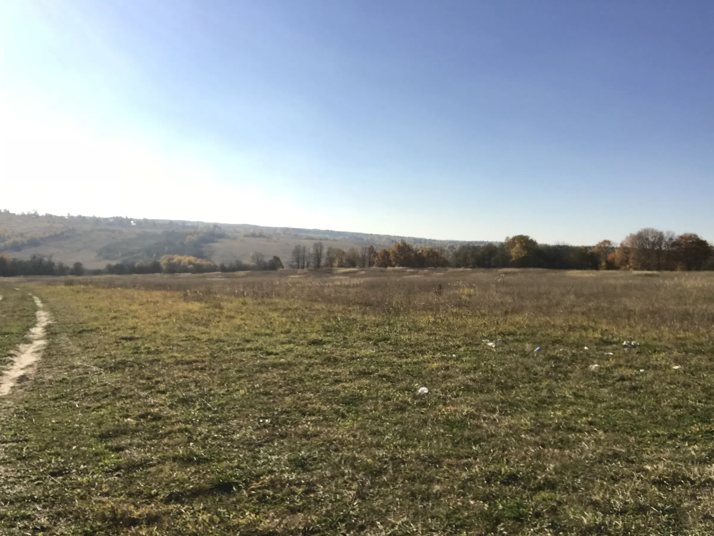 Поле холмов и леса, фото 4