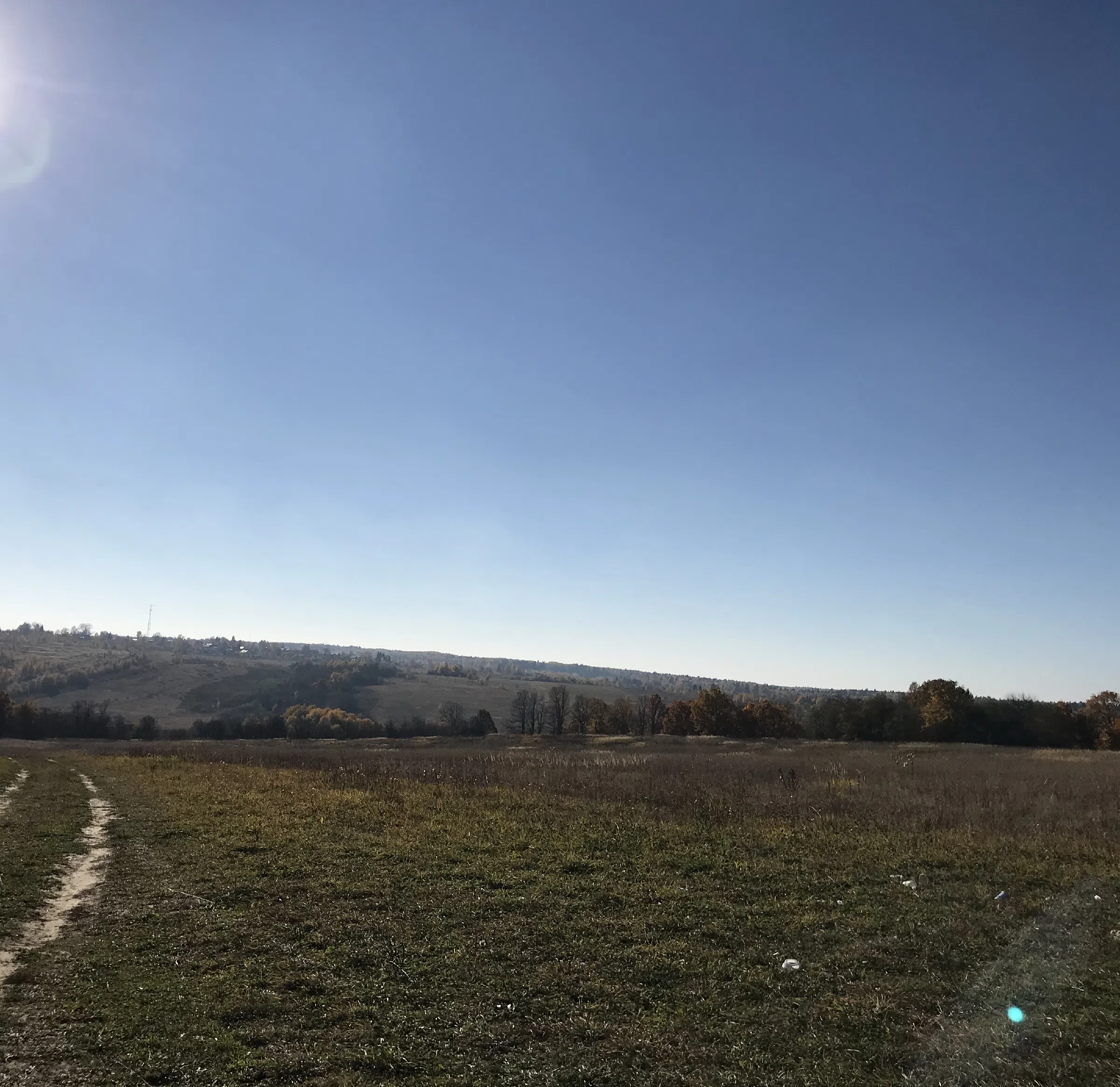 Поле холмов и леса, фото 5