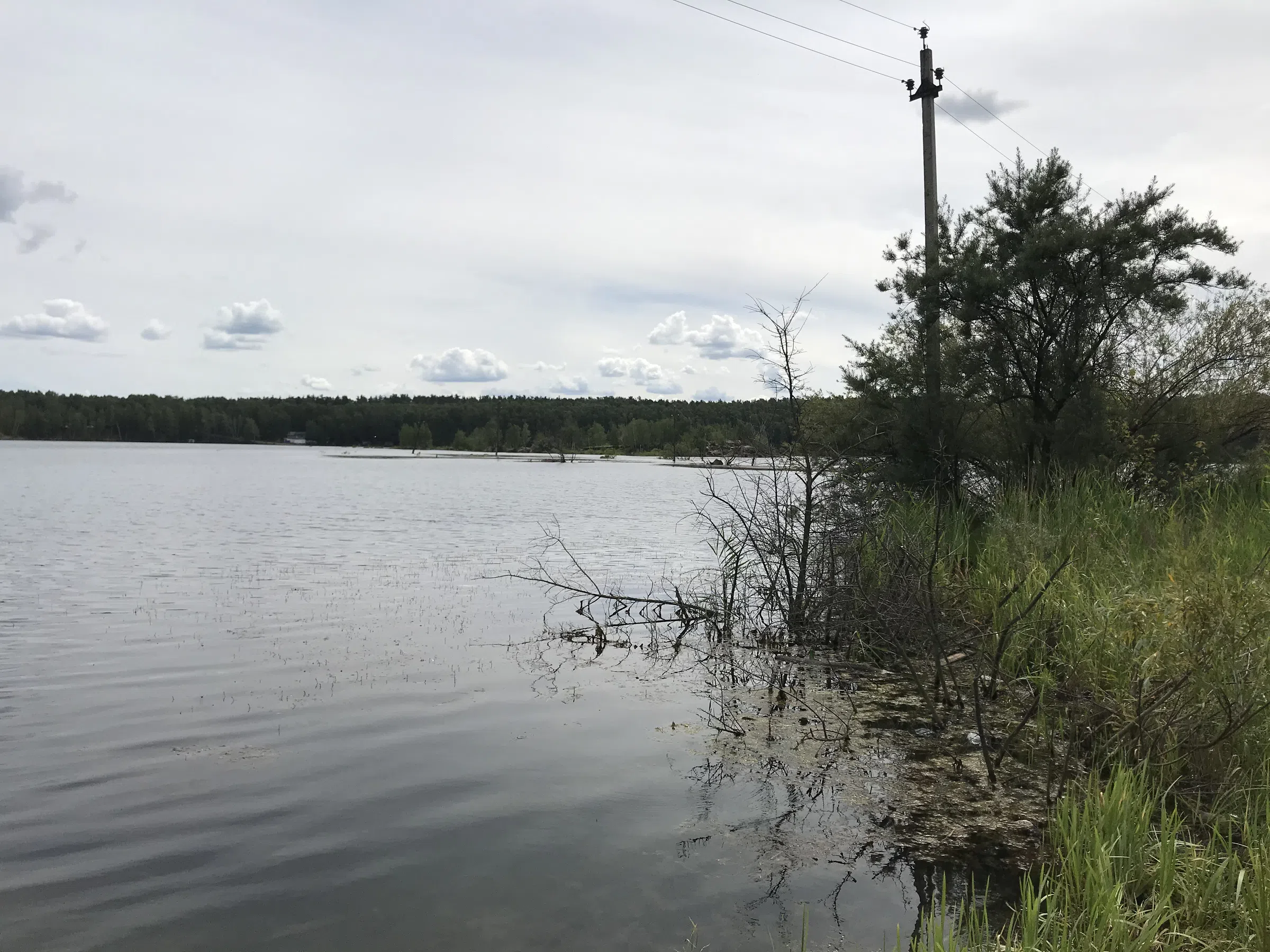 Карьер с лесом и водой, фото 23