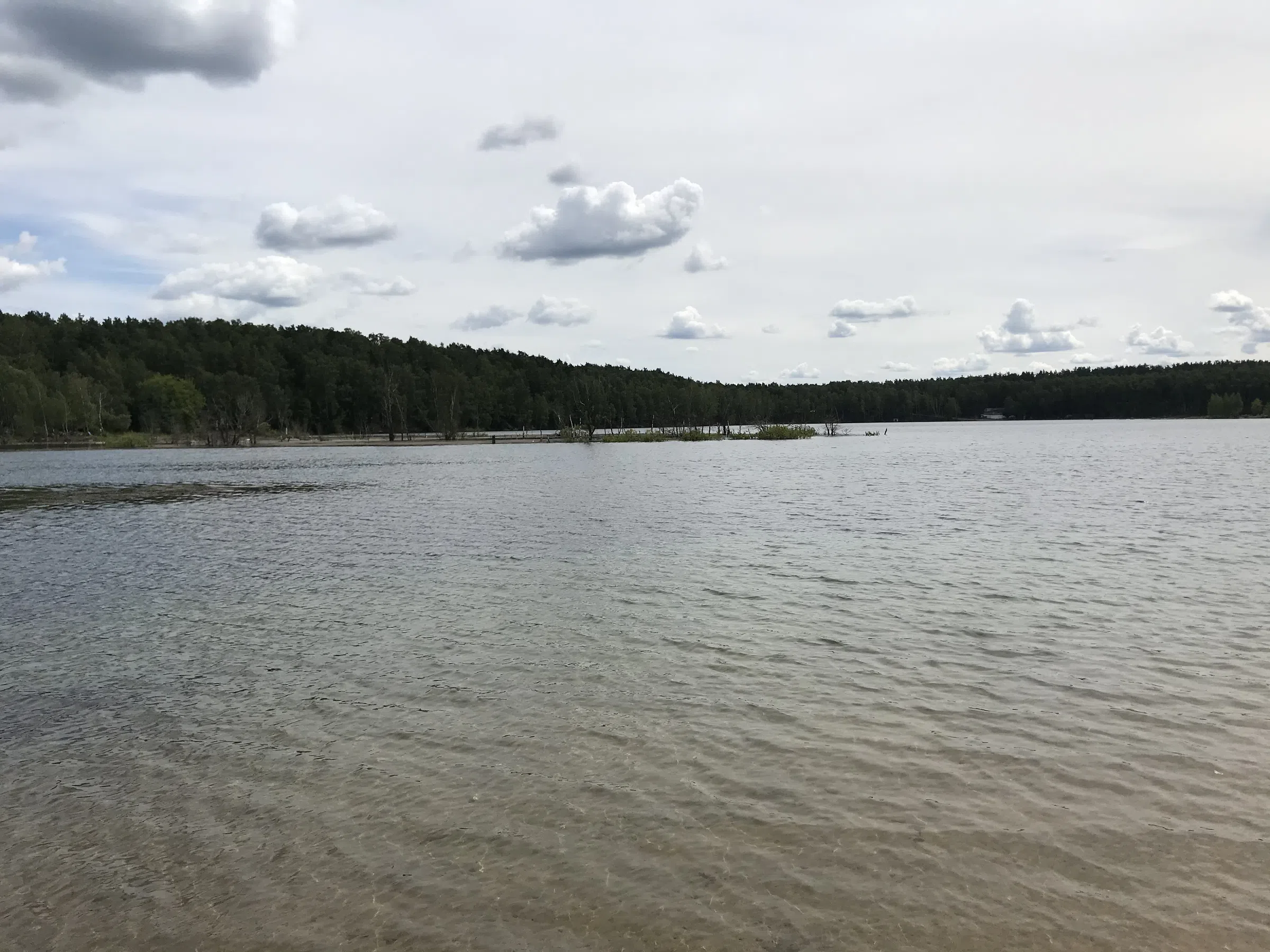 Карьер с лесом и водой, фото 1