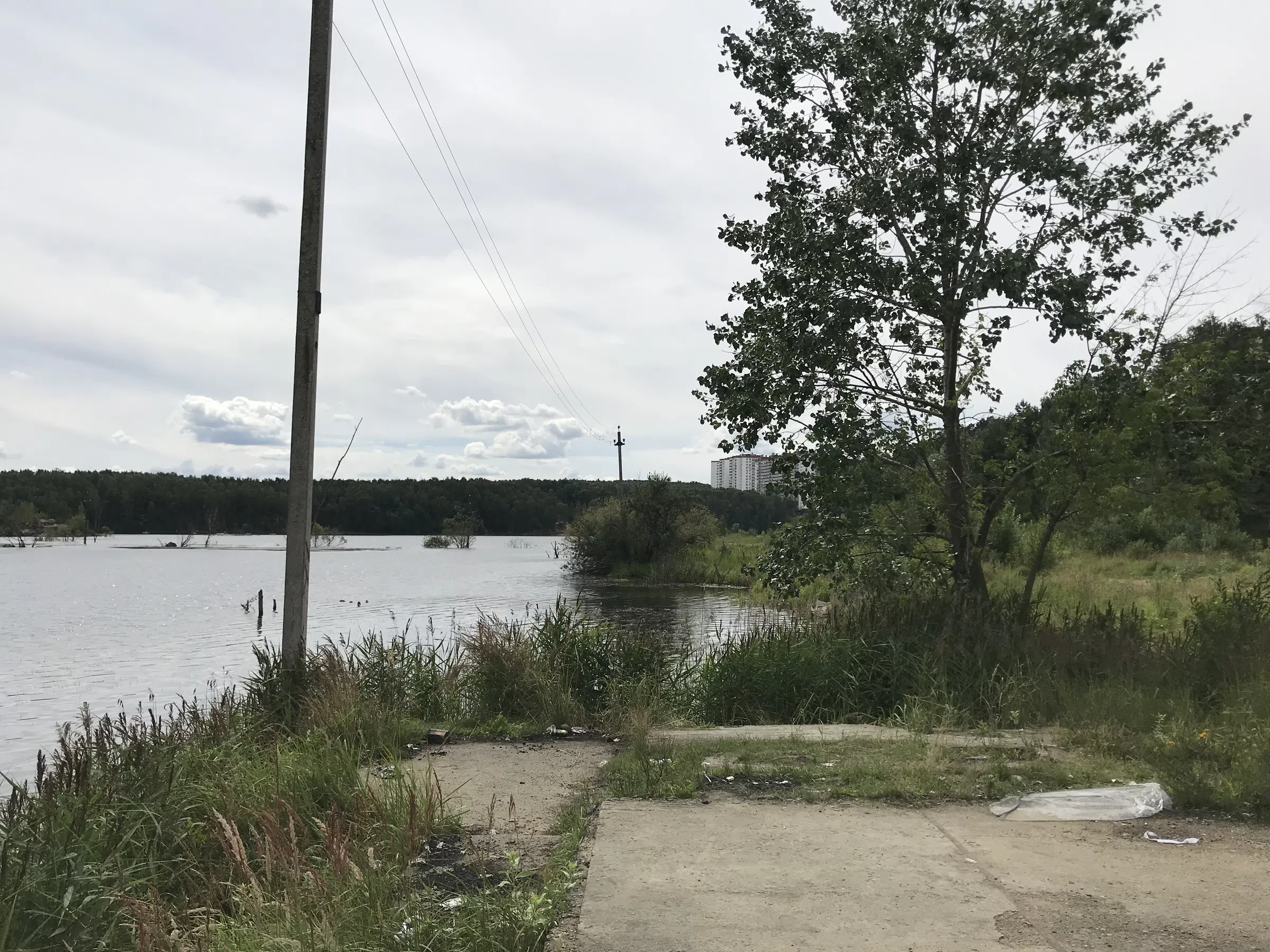 Карьер с лесом и водой, фото 18