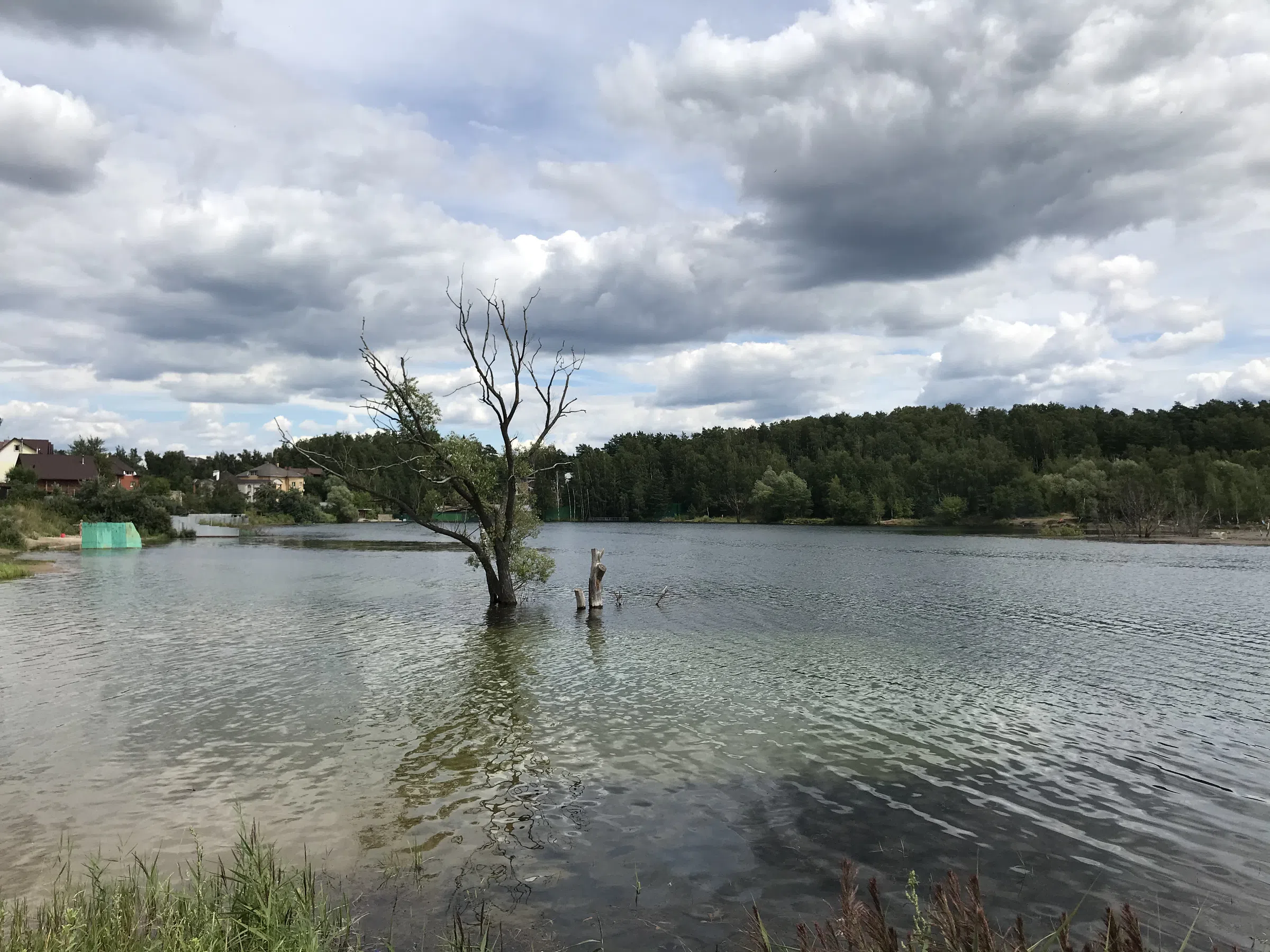 Карьер с лесом и водой, фото 16
