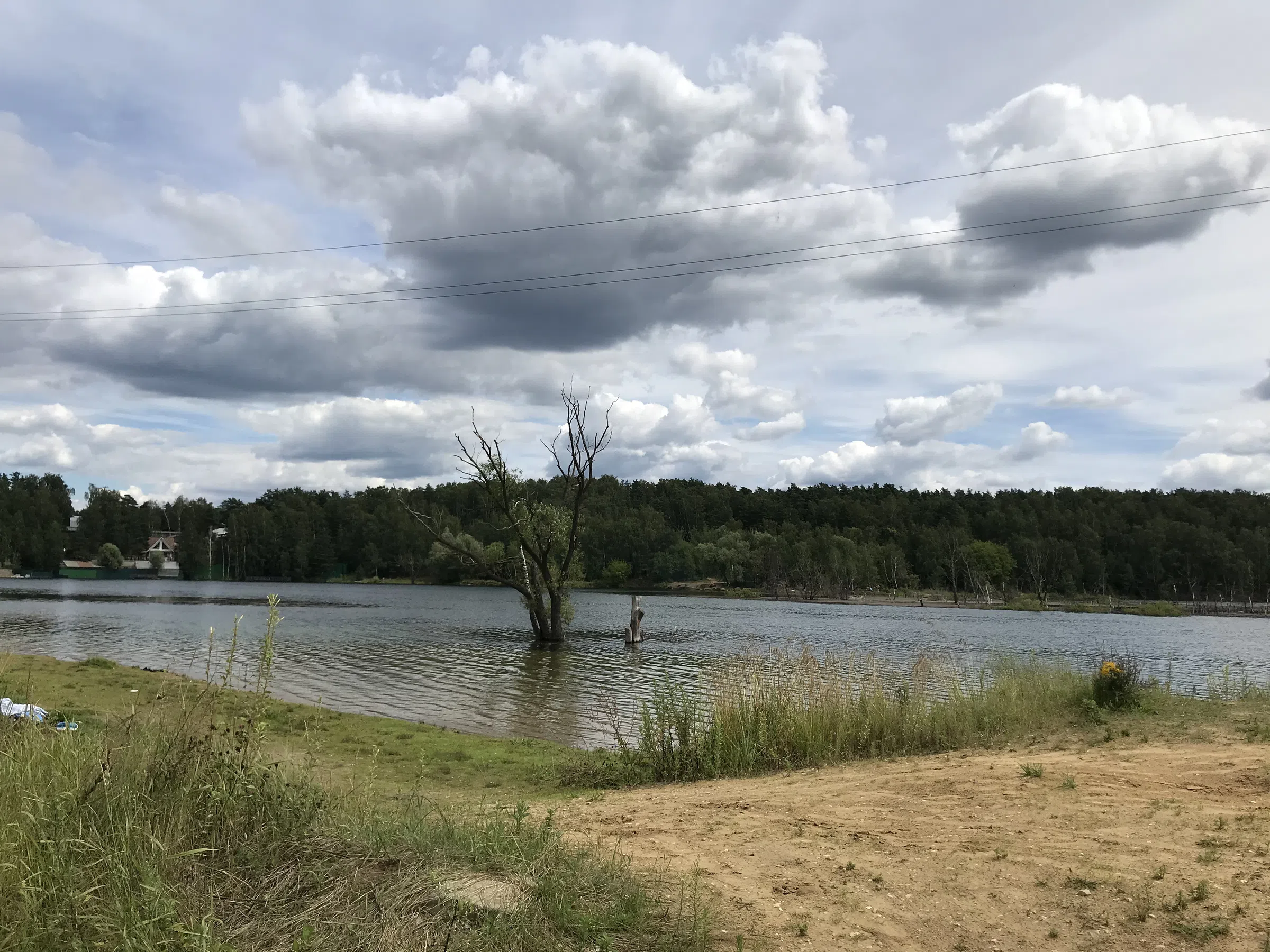 Карьер с лесом и водой, фото 14