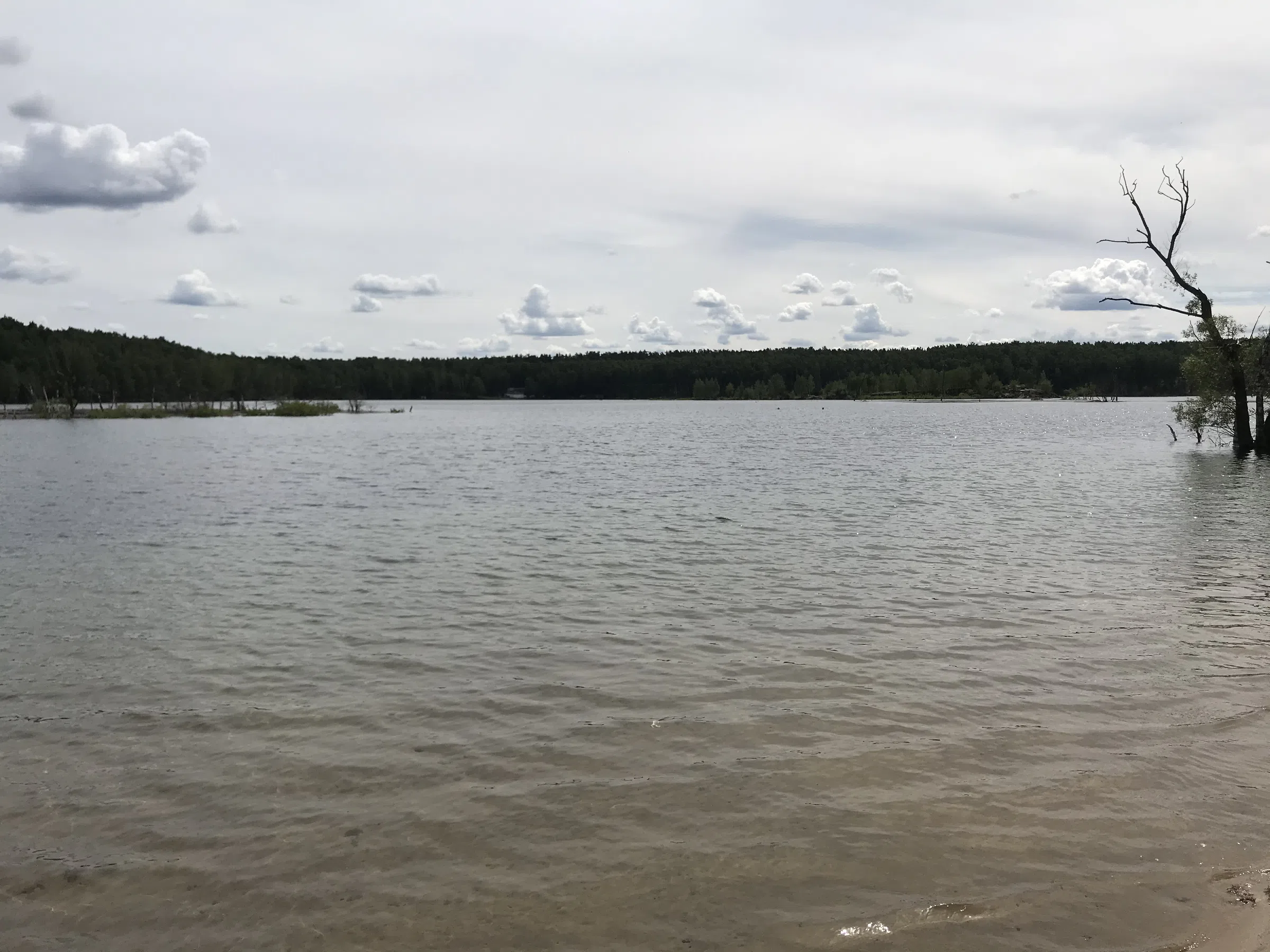 Карьер с лесом и водой, фото 4
