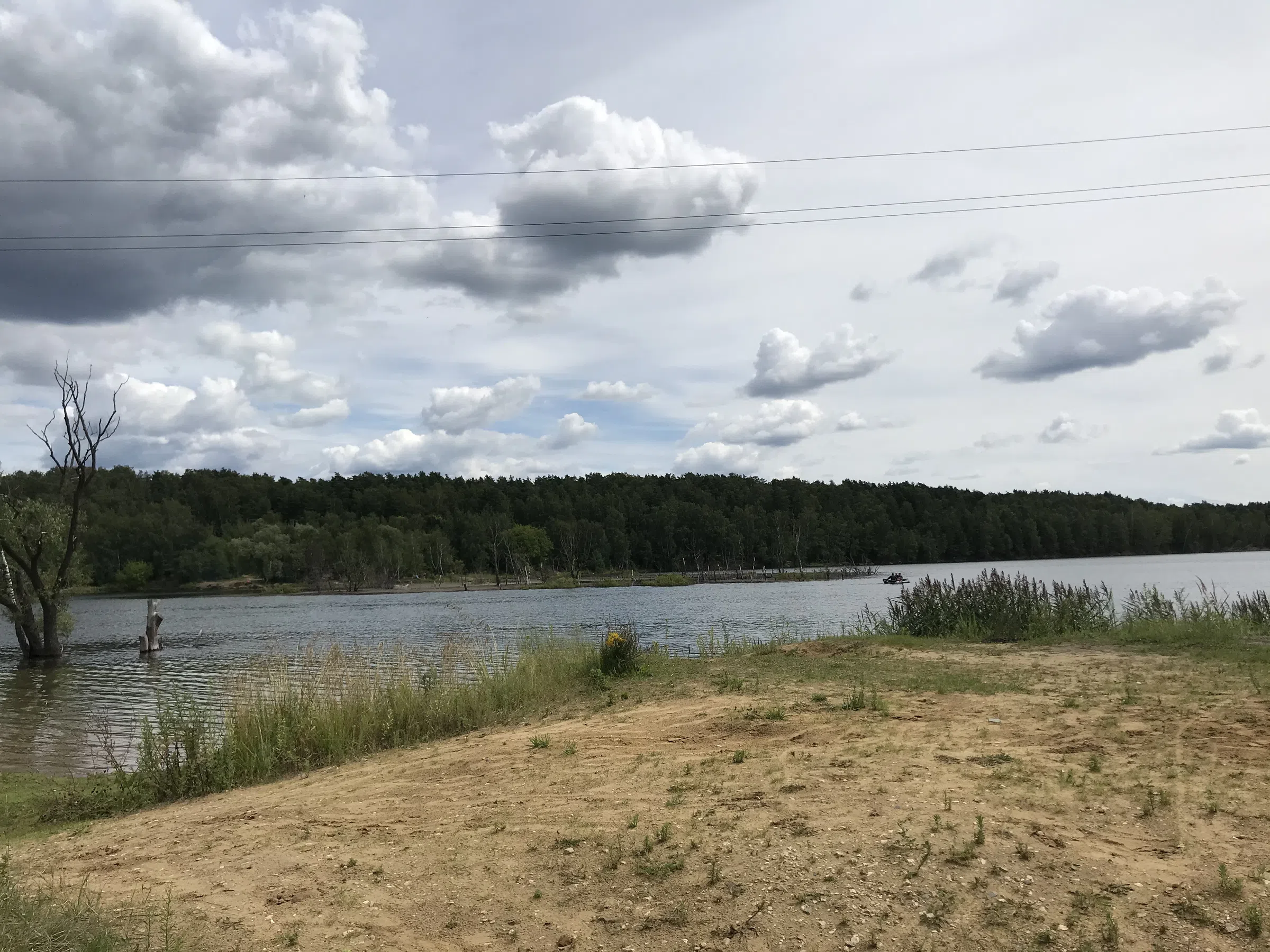 Карьер с лесом и водой, фото 13