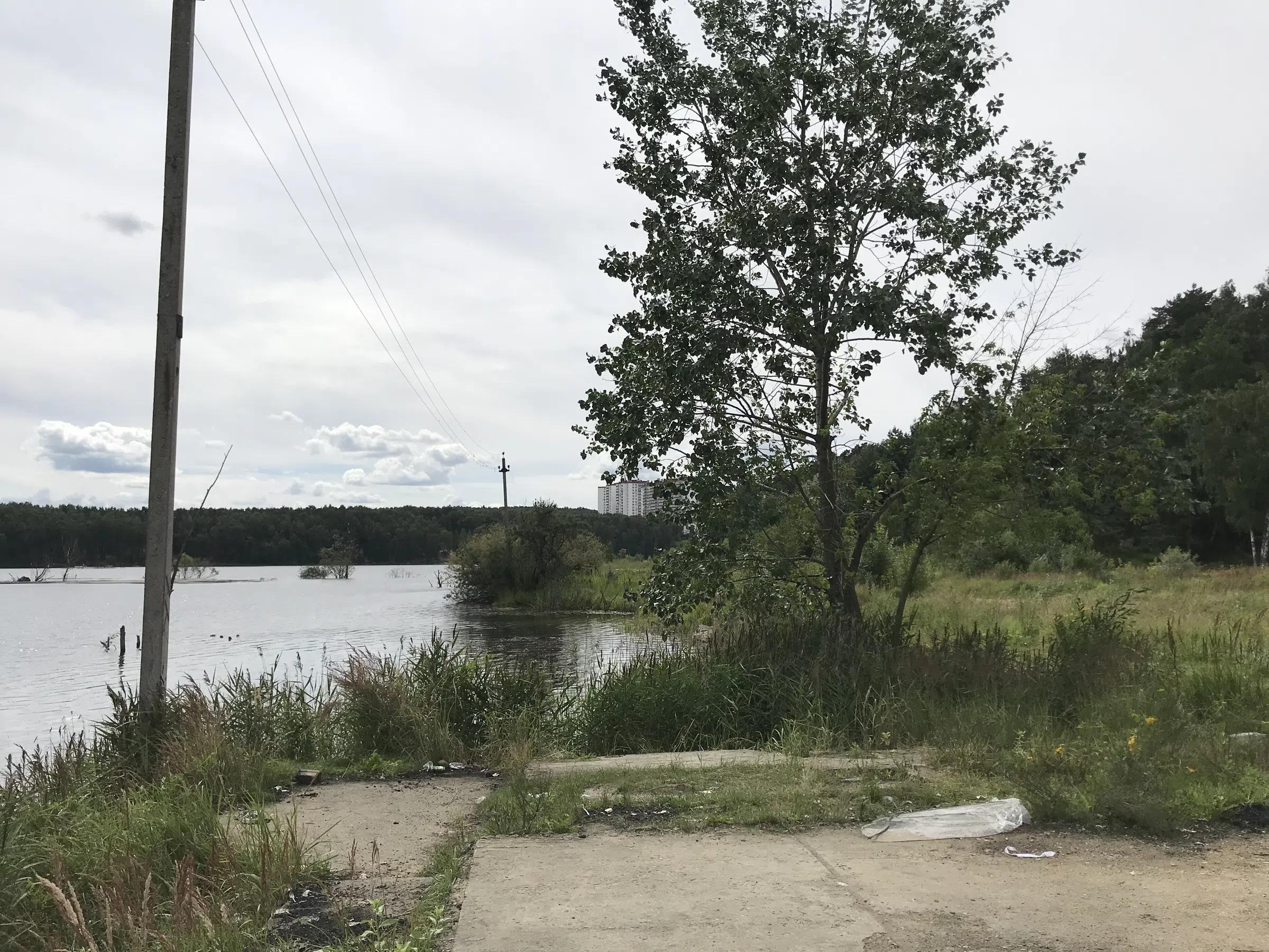 Карьер с лесом и водой, фото 19
