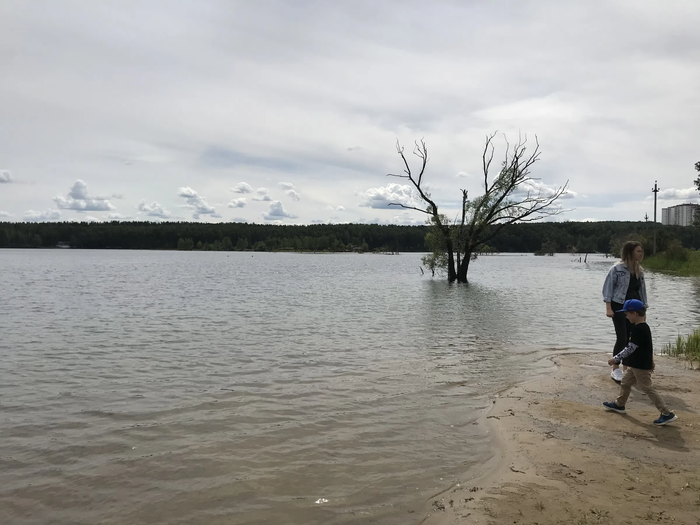 Карьер с лесом и водой, фото 3