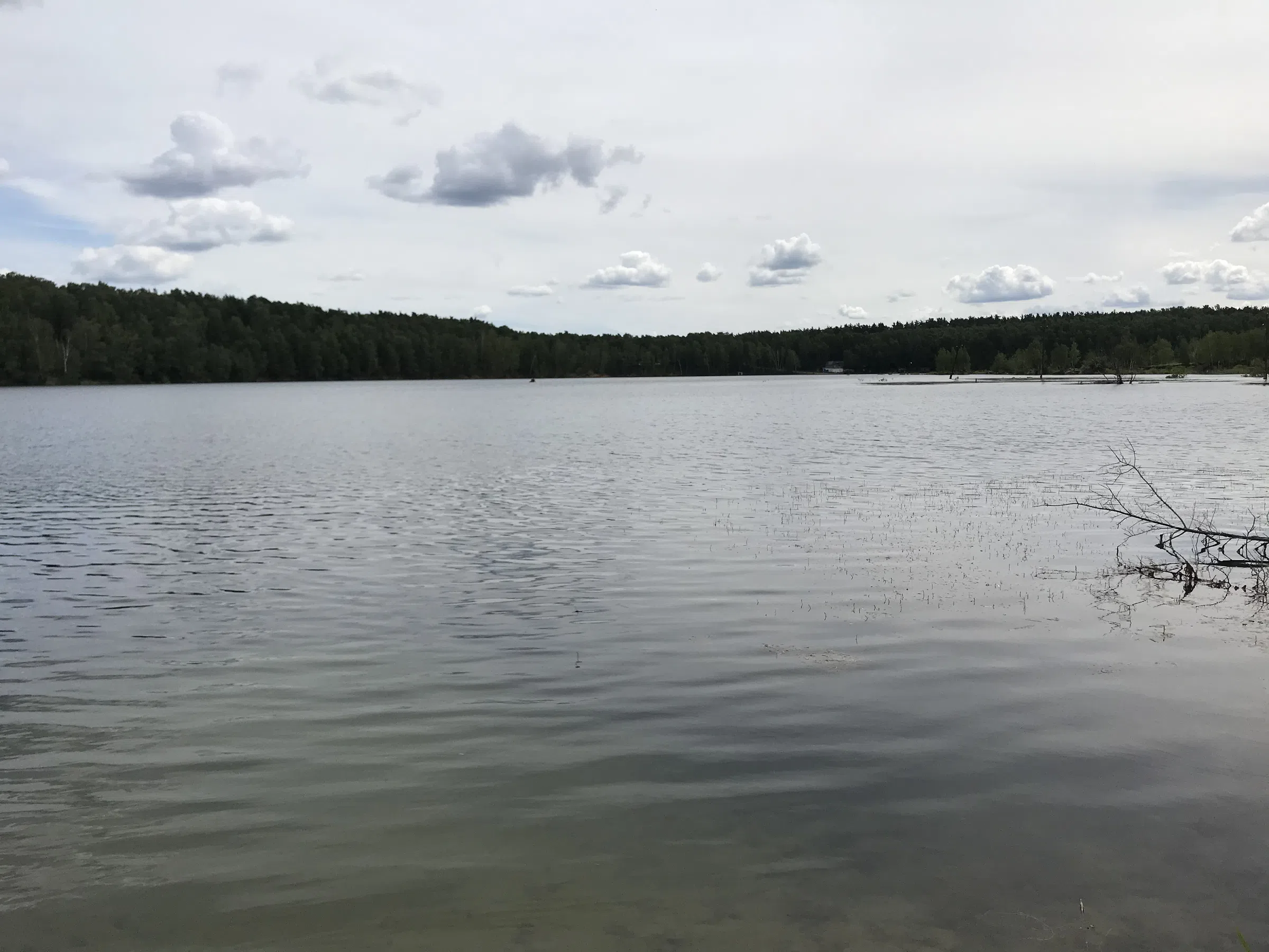 Карьер с лесом и водой, фото 24