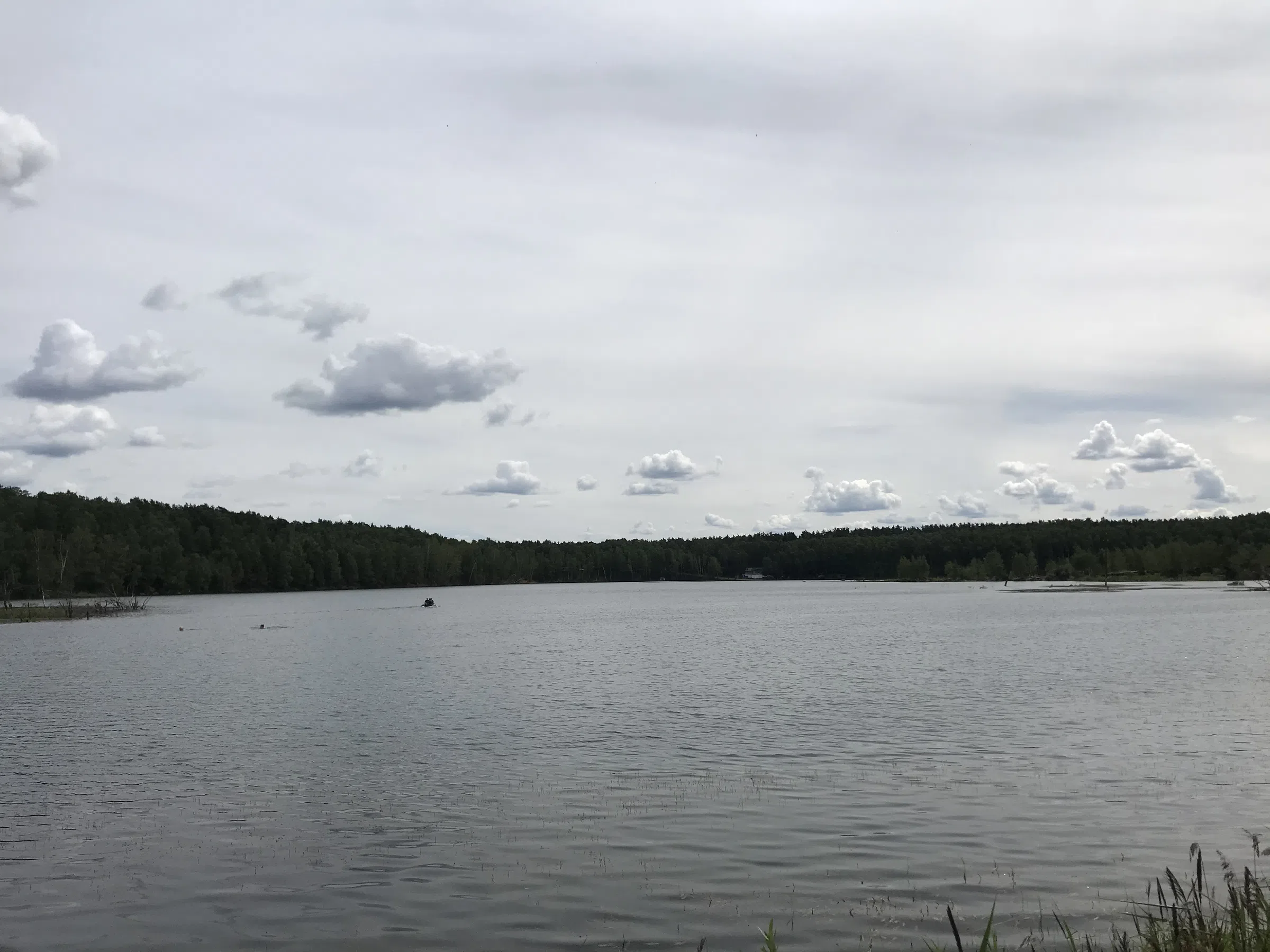 Карьер с лесом и водой, фото 17
