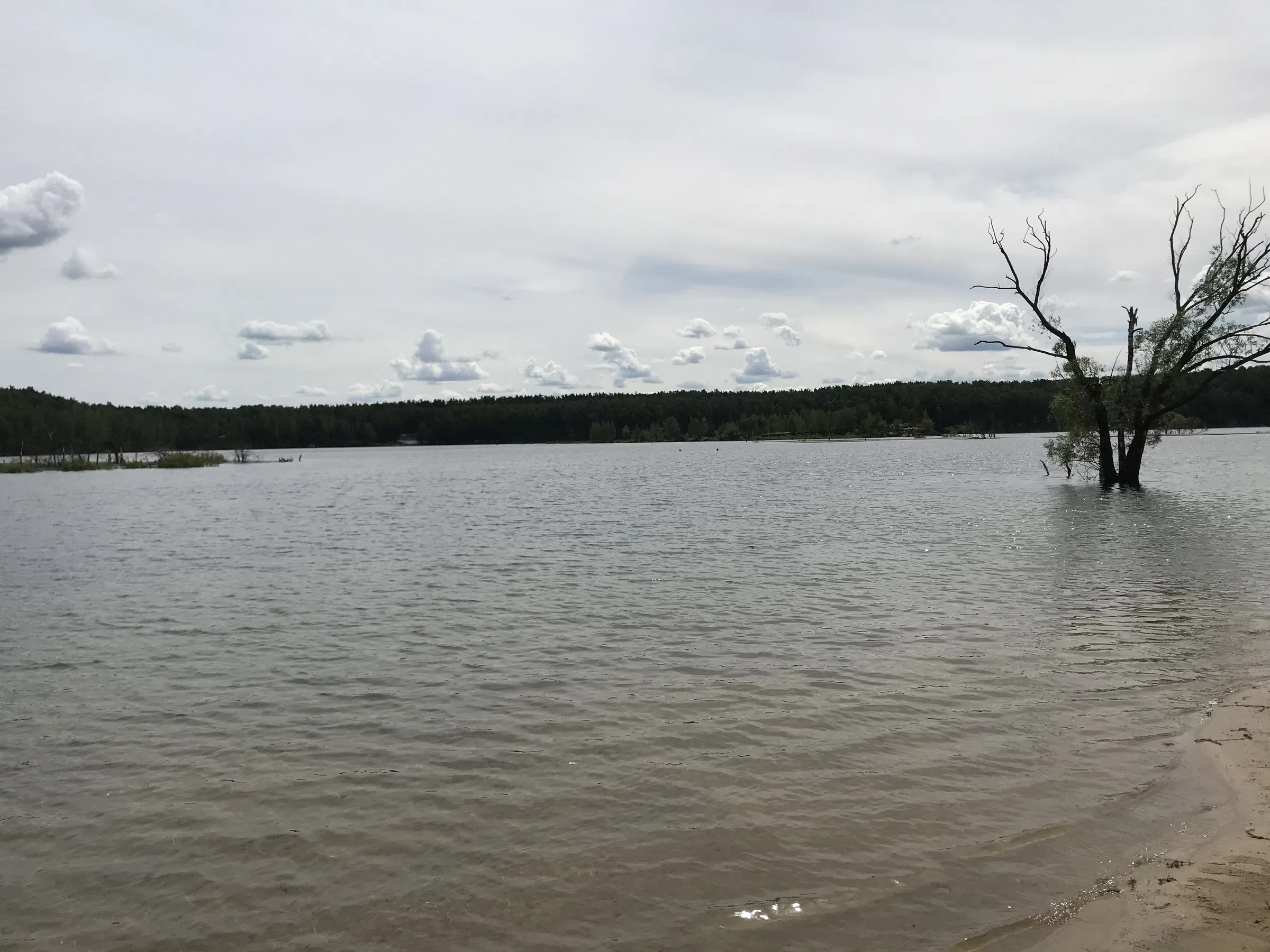 Карьер с лесом и водой, фото 2